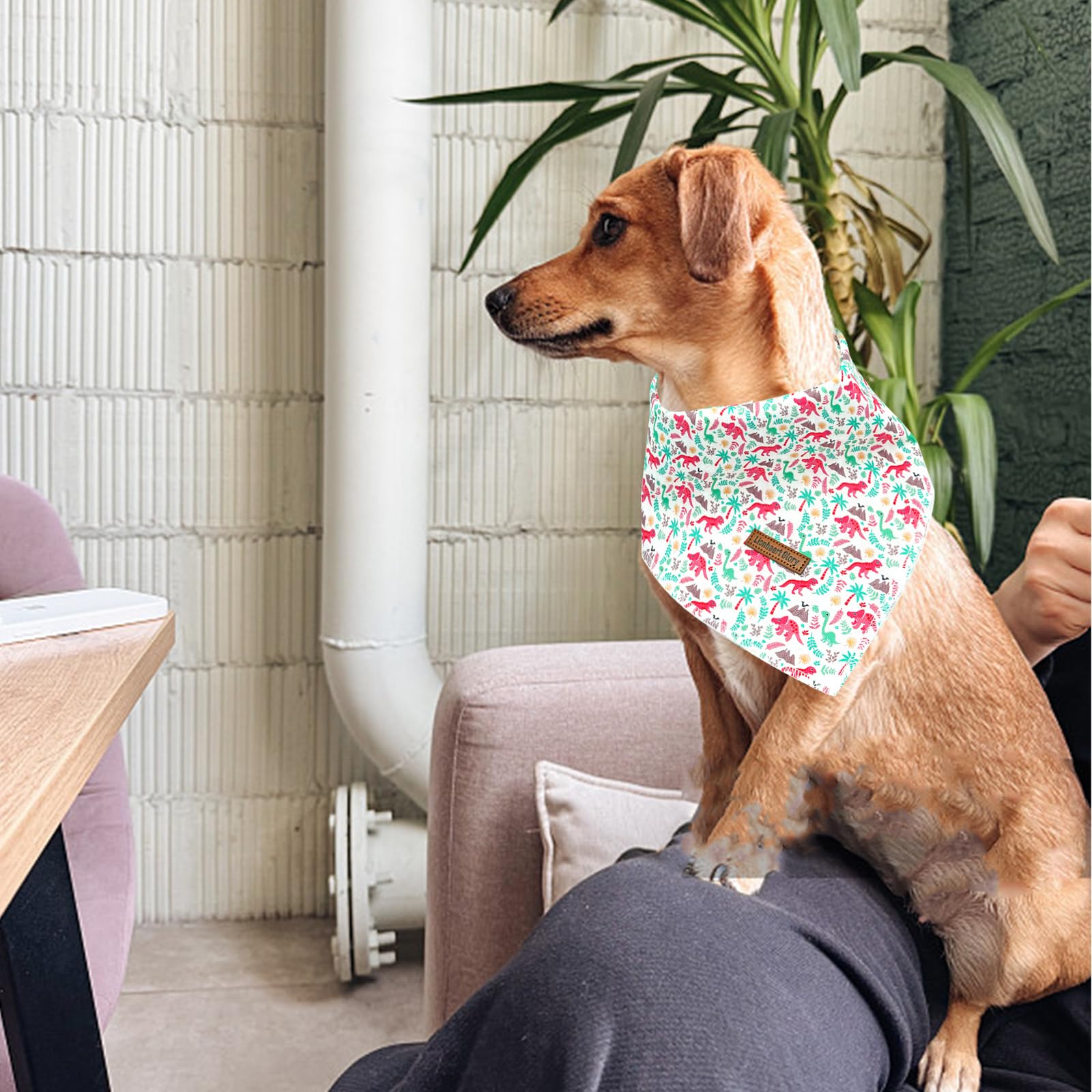 Lionheart Glory Dog Bandana Scarf, Washable Soft Comfortable, Square Adjustable Dinosaurs Spring/Summer Bandana For Small Dogs
