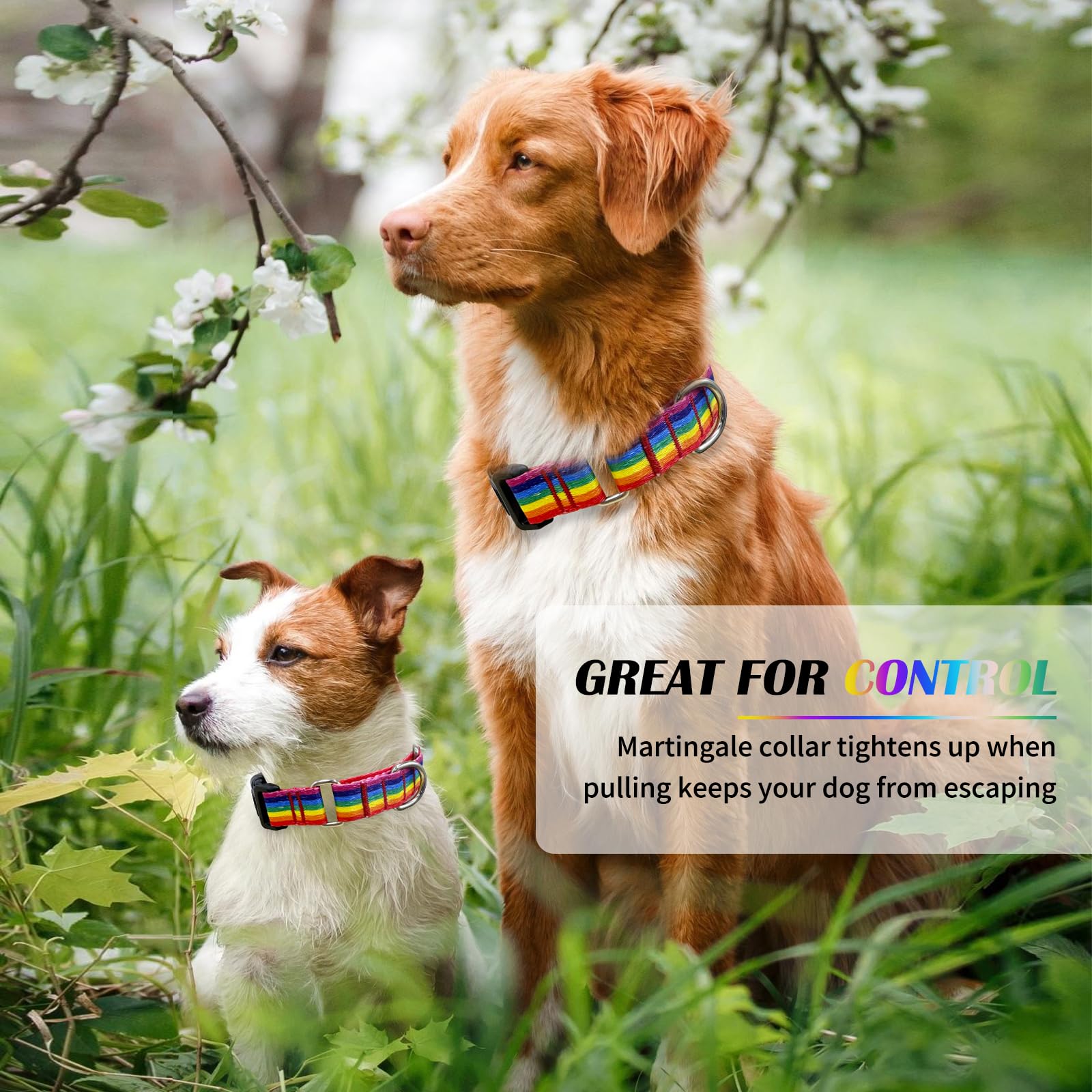 Hikiko Martingale Collar For Dogs Adjustable Soft Nylon Dog Collars With Cute Patterns For Small Medium Large Dog(Rainbow,Large)