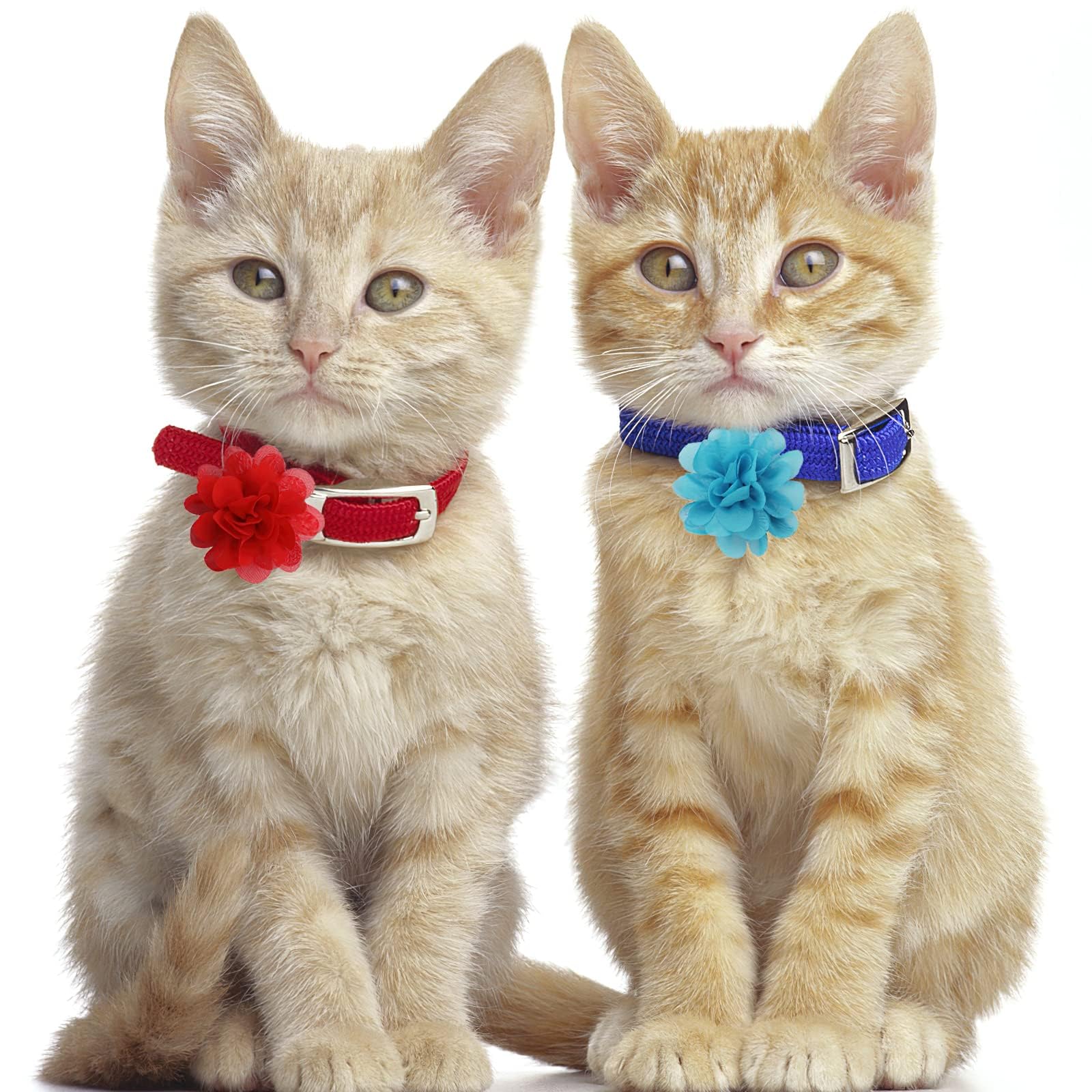 Yxiang 30Pcs Dog Collar Flowers 2In Flower Pet Bow Ties Dog Charms Flowers Set For Puppy Collar Grooming Accessories, White