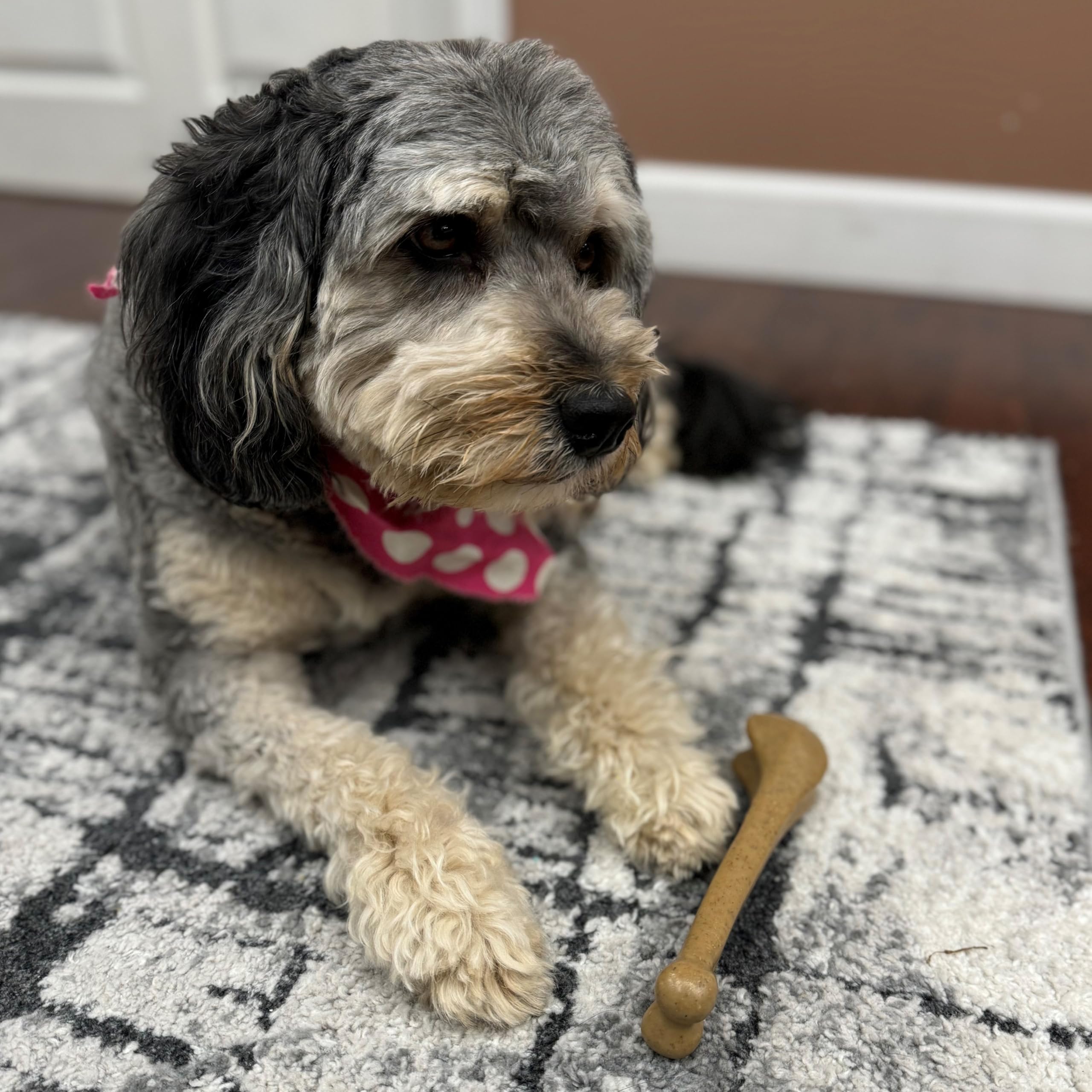 Spot Ethical Pets 54318 Bambone Bone Chicken Pet Chew Toys