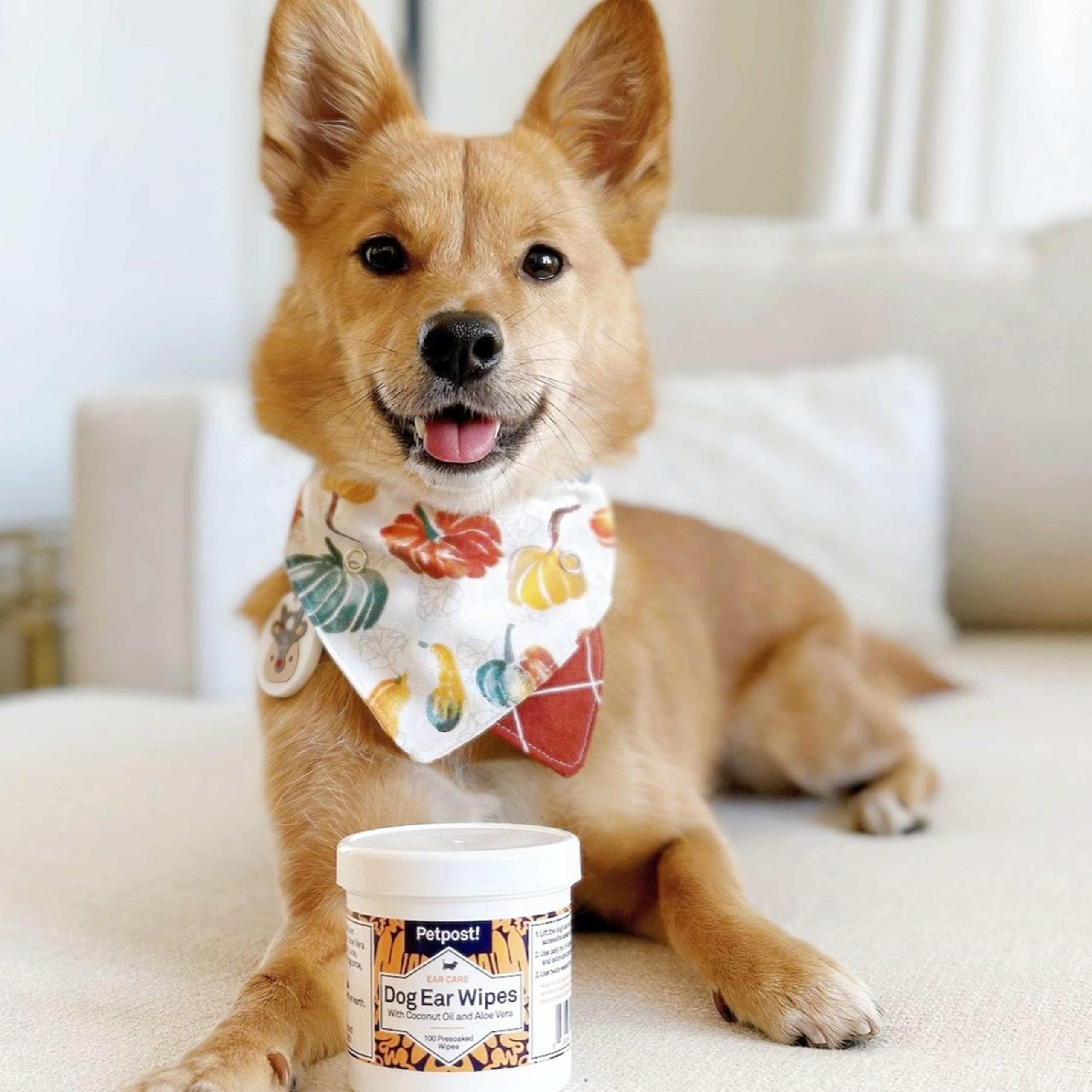 Petpost | Dog Ear Cleaner Wipes - Ultra Soft Cotton Pads In Coconut Oil Aloe Solution - Dog Ear Rinse & Cleanser 100 Ct.