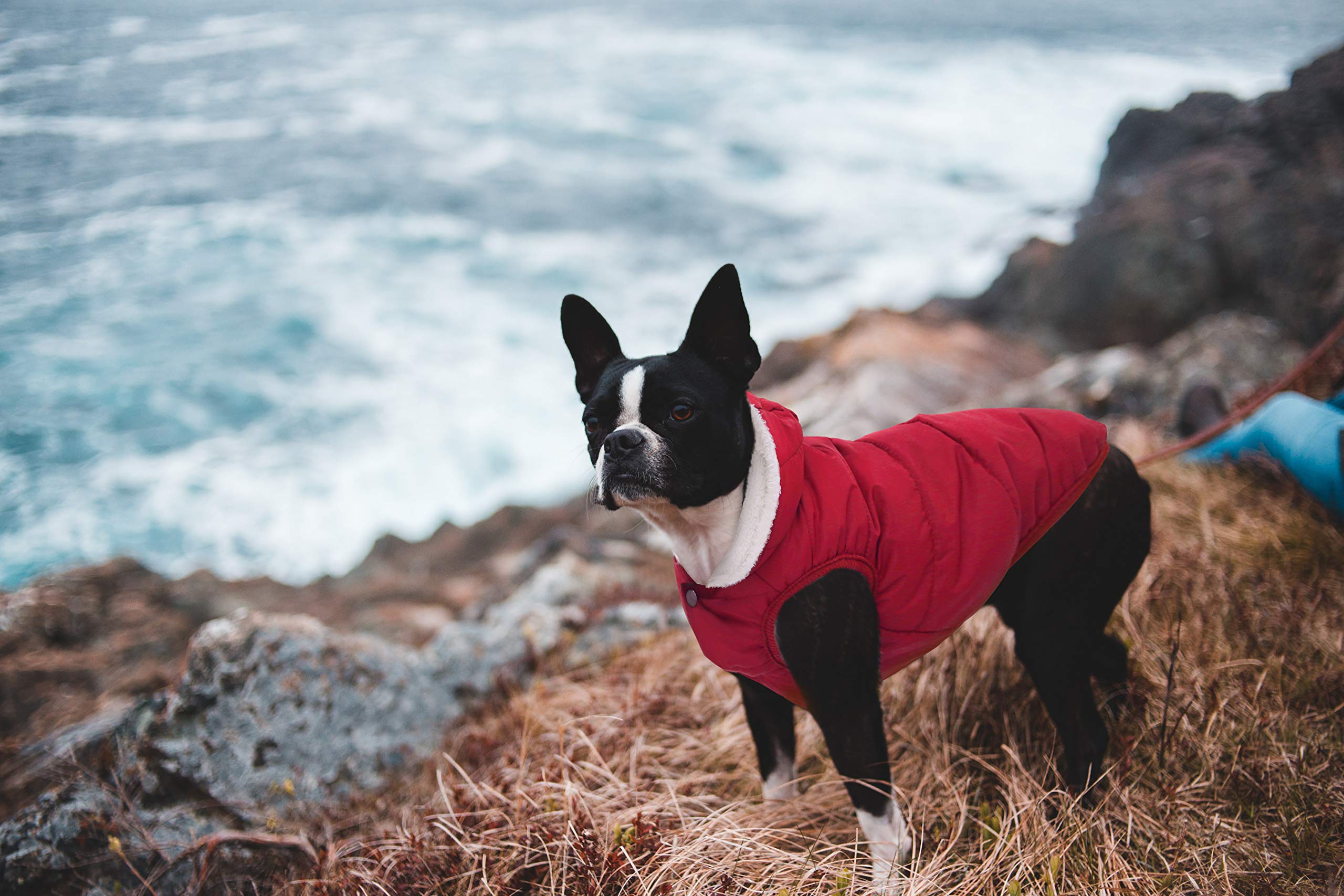 Dog Fleece Hoodie, Windproof Waterproof Dog Coat Fleece & Cotton Lined Warm Dog Jacket, Cold Weather Pet Apparel Clothes Vest Fo