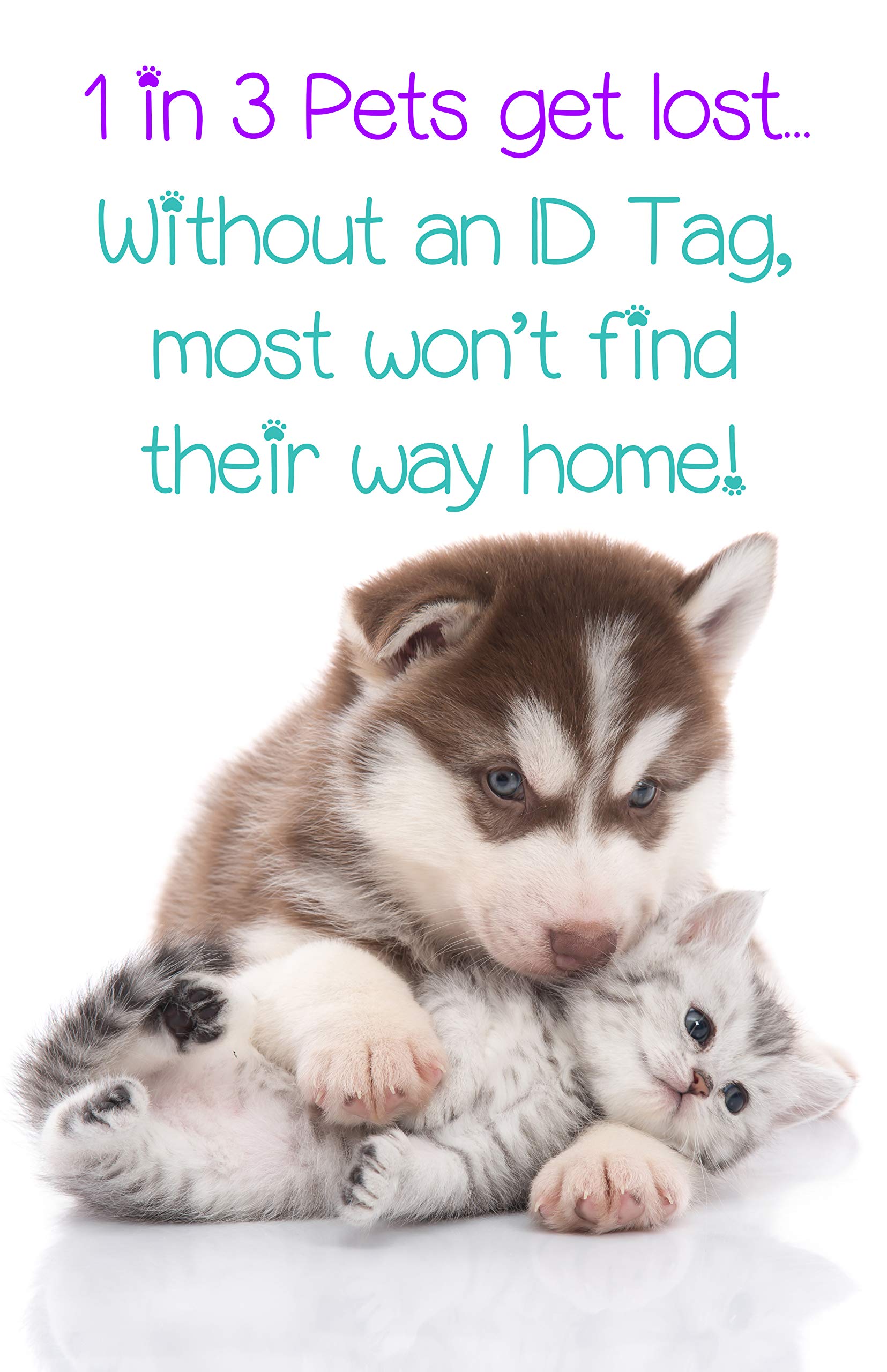 Ncaa Officially Licensed 2-Sided Pet Id Tag For Dogs & Cats Personalized For Your Pet ()