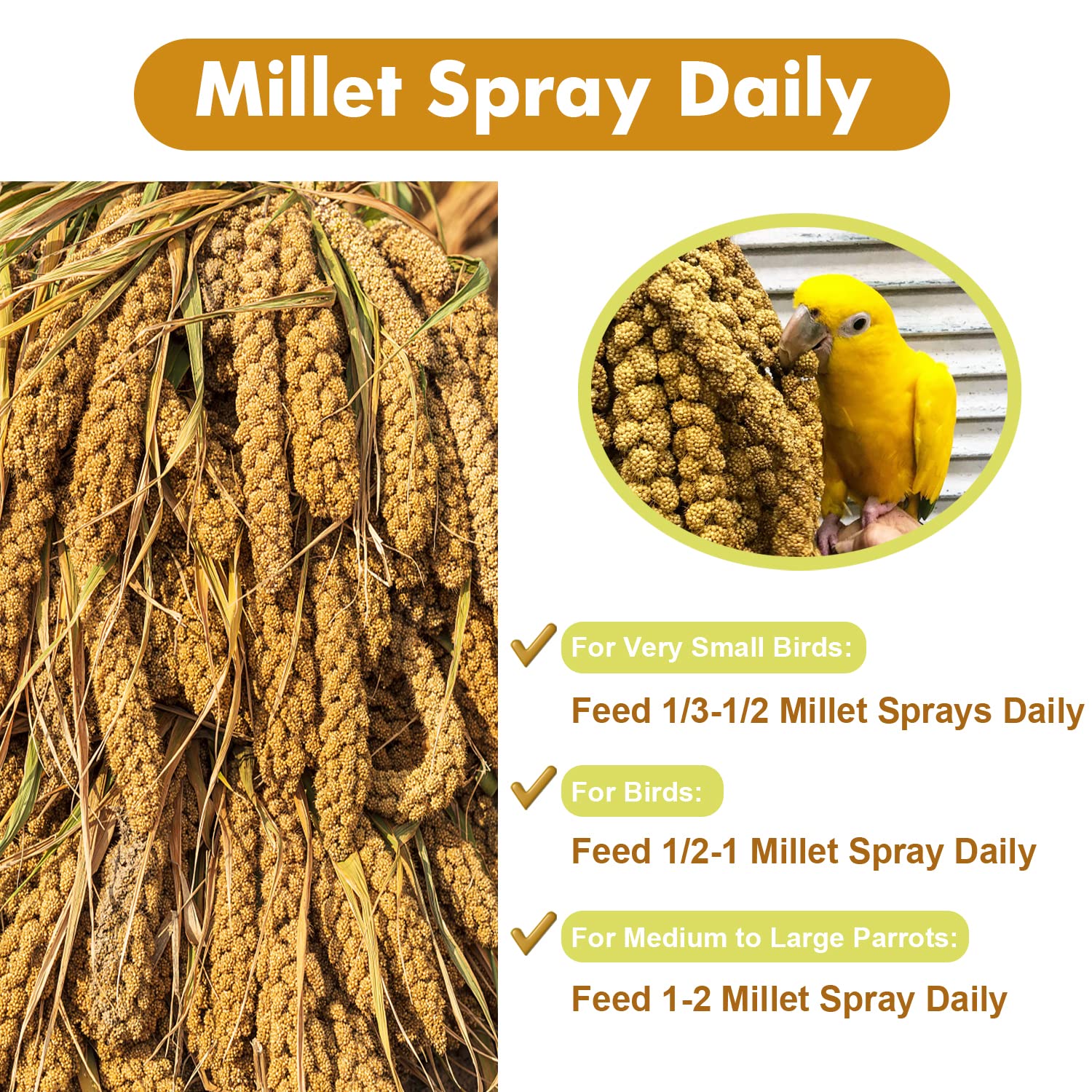 Jmxus 1LB Spray Millet Treat for Birds Parakeets, Natural Sun-Dried Birds Millet for Cockatiel, Budgie, Finches, Parrots, Hamst