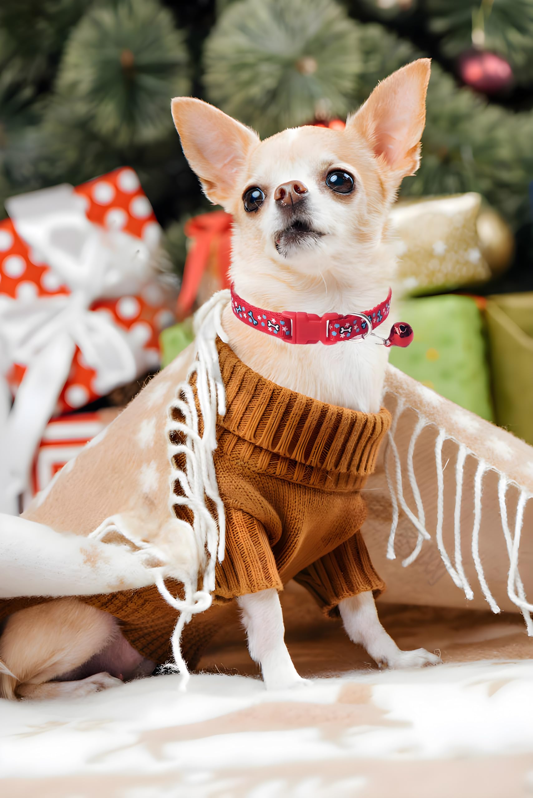 Xsmall Dog Collar With Bell, 2 Pack Boys Puppy Collar With Bell, Nylon Cute Cat Collars Adjustable For Xxs Xs Little Small Male