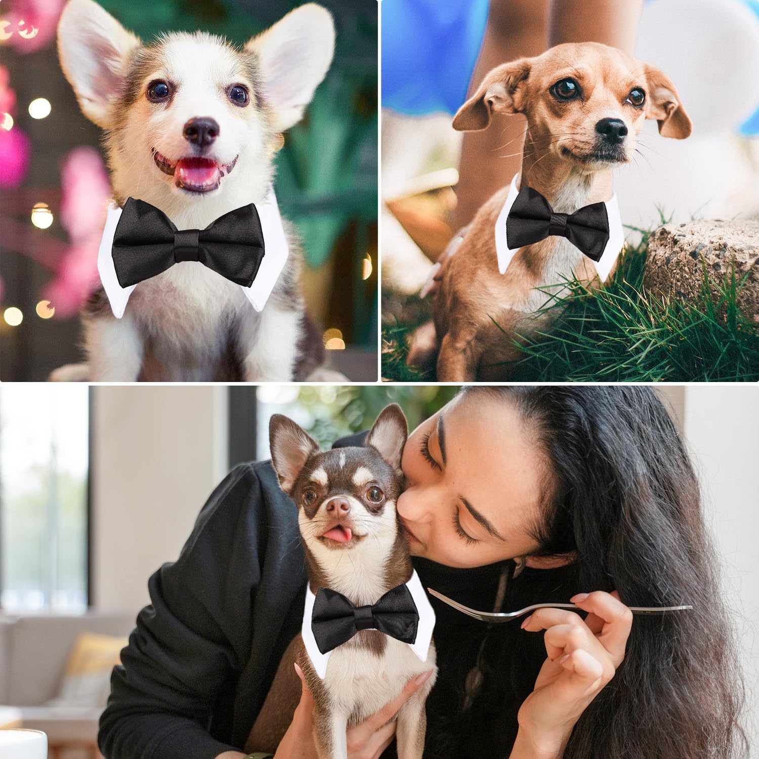 Black Bow Tie Dog Collar, Segarty Cute Tux Dog Bowtie With Handcrafted Adjustable White Collar Formal Pet Cats Puppies Necktie For Small Boy Dog Wedding Birthday Gift