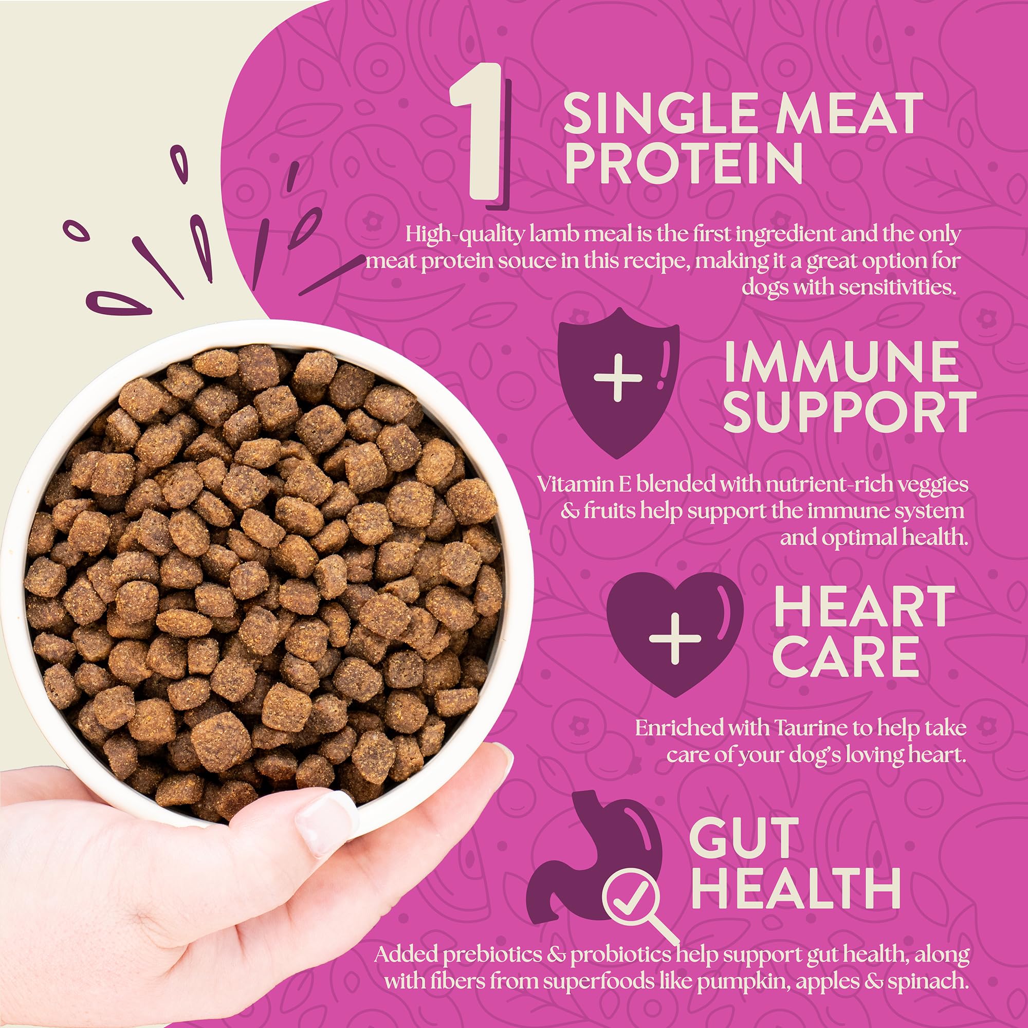 Earthborn Holistic Meadow Feast Lamb Meal & Vegetables Grain Free Dry Dog Food, 4 lb. Bag, for Sensitive Skin & Stomach, Brown