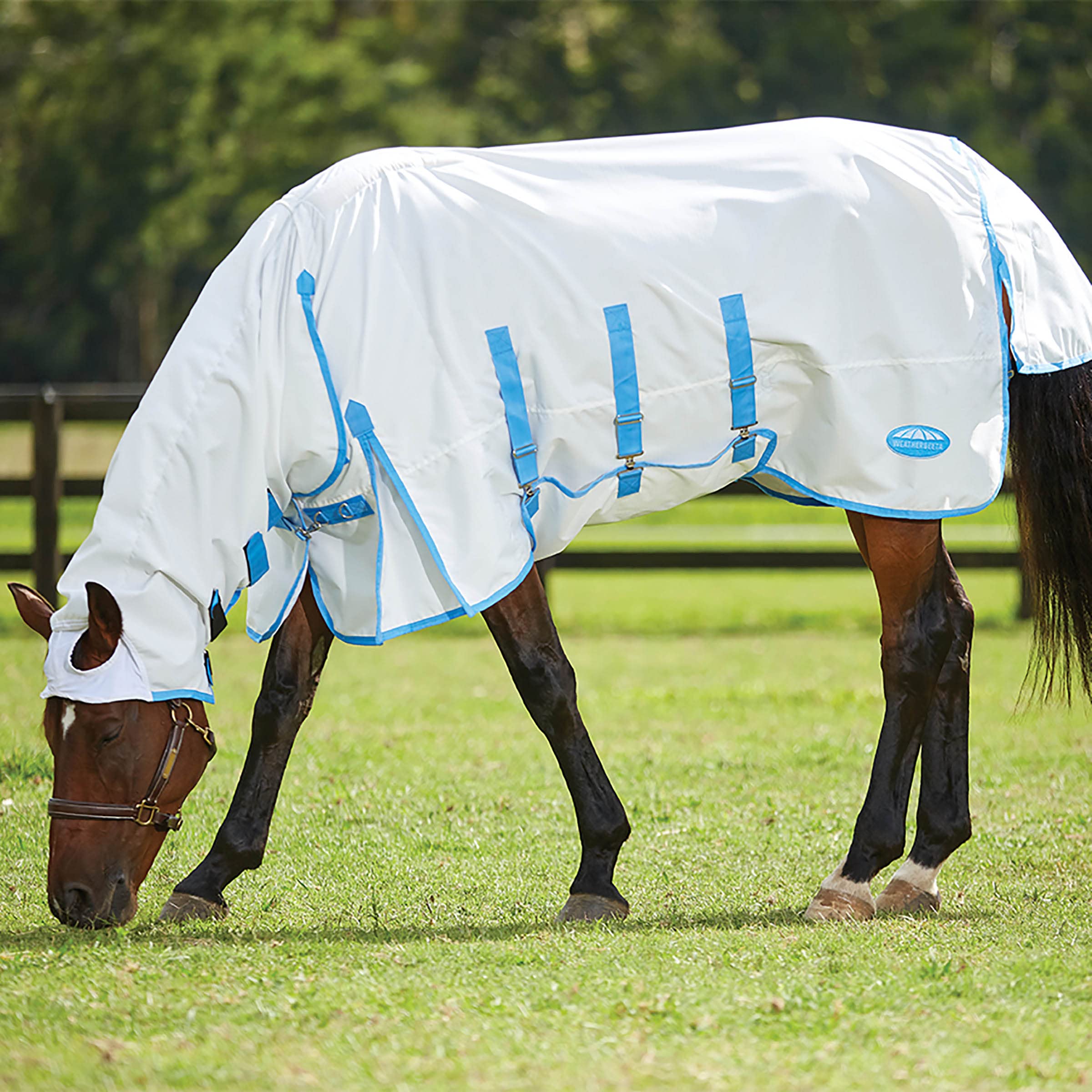 WeatherBeeta Sweet Itch Shield Combo Neck, White/Blue, 81