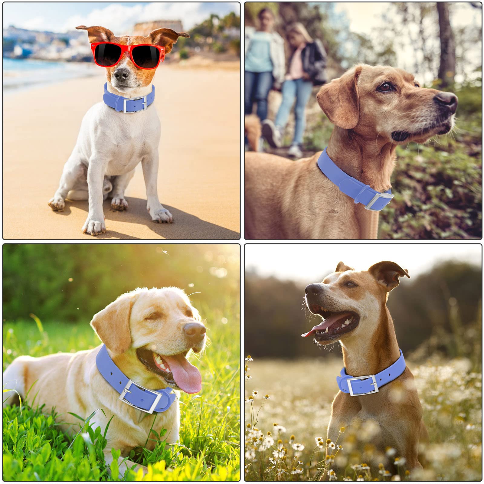 Wisedog Waterproof Dog Collar: Multiple Adjust 8.5” To 32.6”, Soft Rubber Coated Webbing, Easy To Clean, For Small Medium Large Dogs (L(Length:15'-19'; Width:1'), Blue)