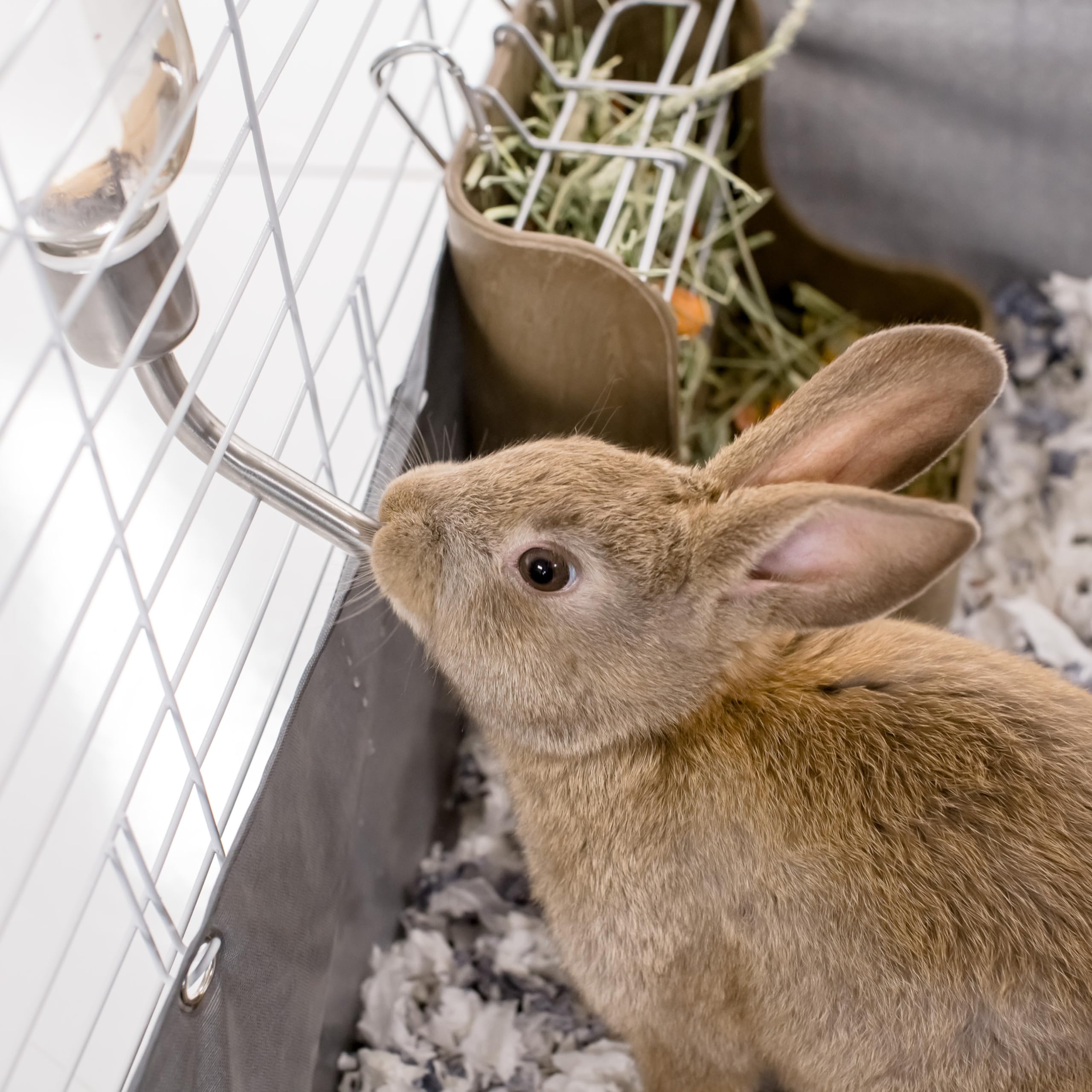 Kaytee Chew-Proof Water Bottle For Pet Rabbits, Ferrets, Guinea Pigs And Chinchillas, 12 Oz