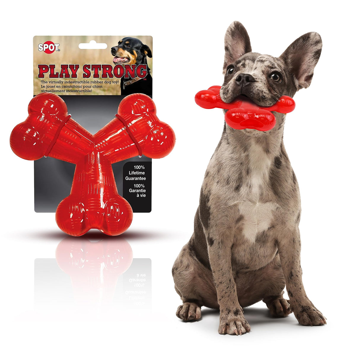 Spot By Ethical Products - Play Strong - Trident Bone - Dog Toy For Aggressive Chewers Interactive Durable Dog Toy Red 6-Inch