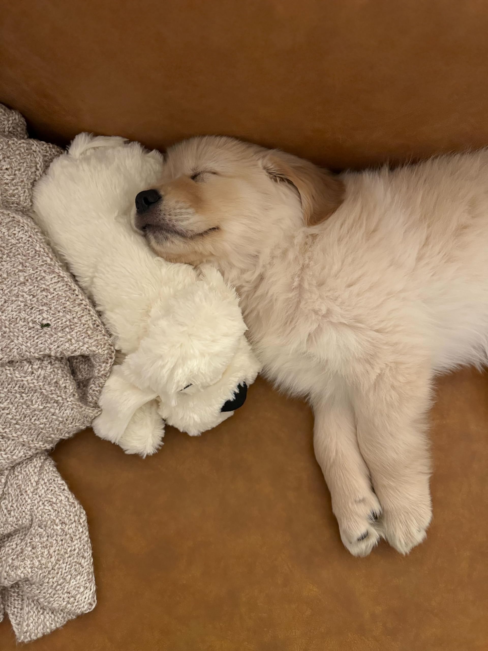 Original Snuggle Puppy Toys - Heartbeat Puppy For Dogs - Pet Anxiety Relief And Calming Aid - Comfort Dog Toys For Behavioral Tr