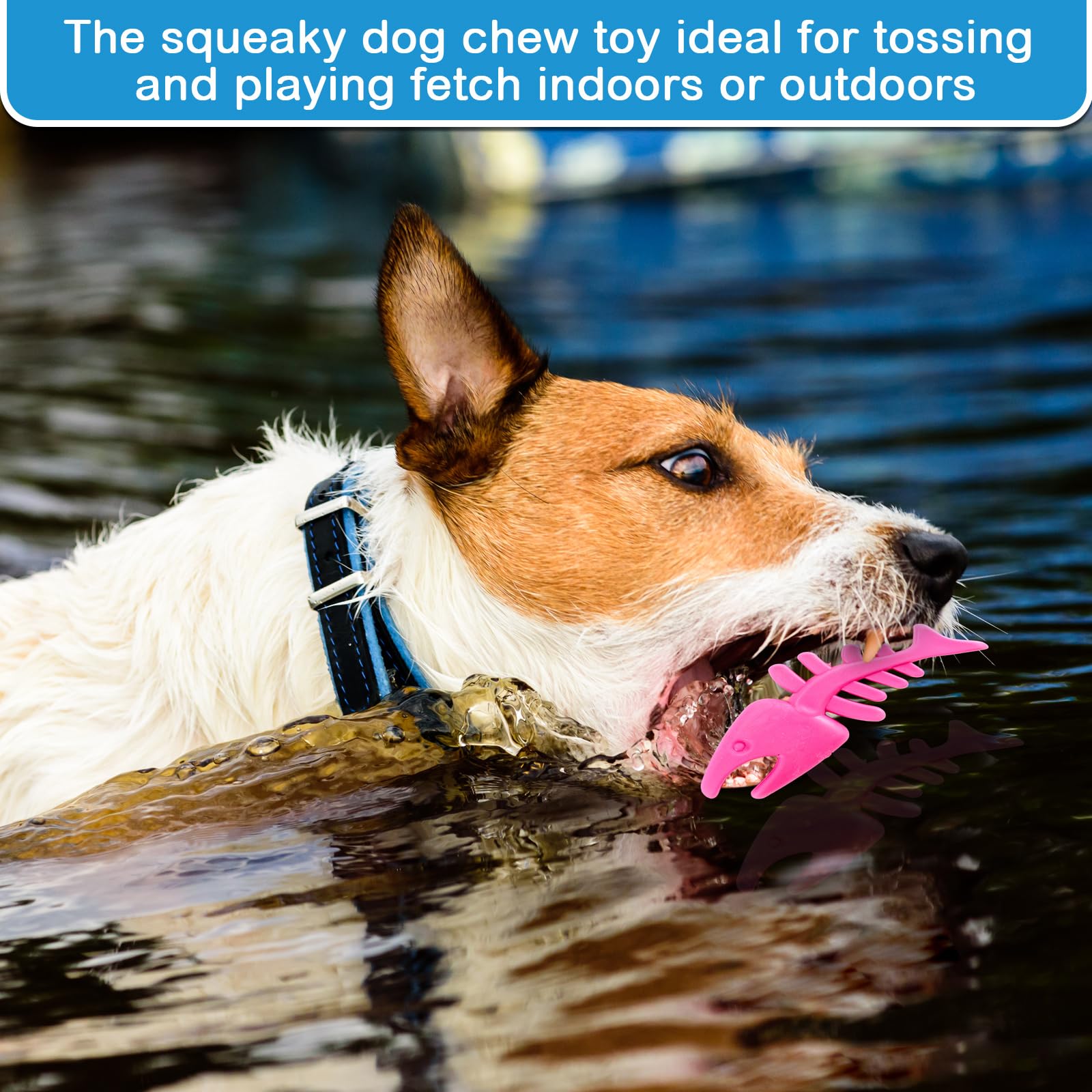 Winnerwhy 4 Pack Floating Dog Toys For Aggressive Chewers Summer Interactive Fetch Games Natural Teeth Cleaning For Small Medium