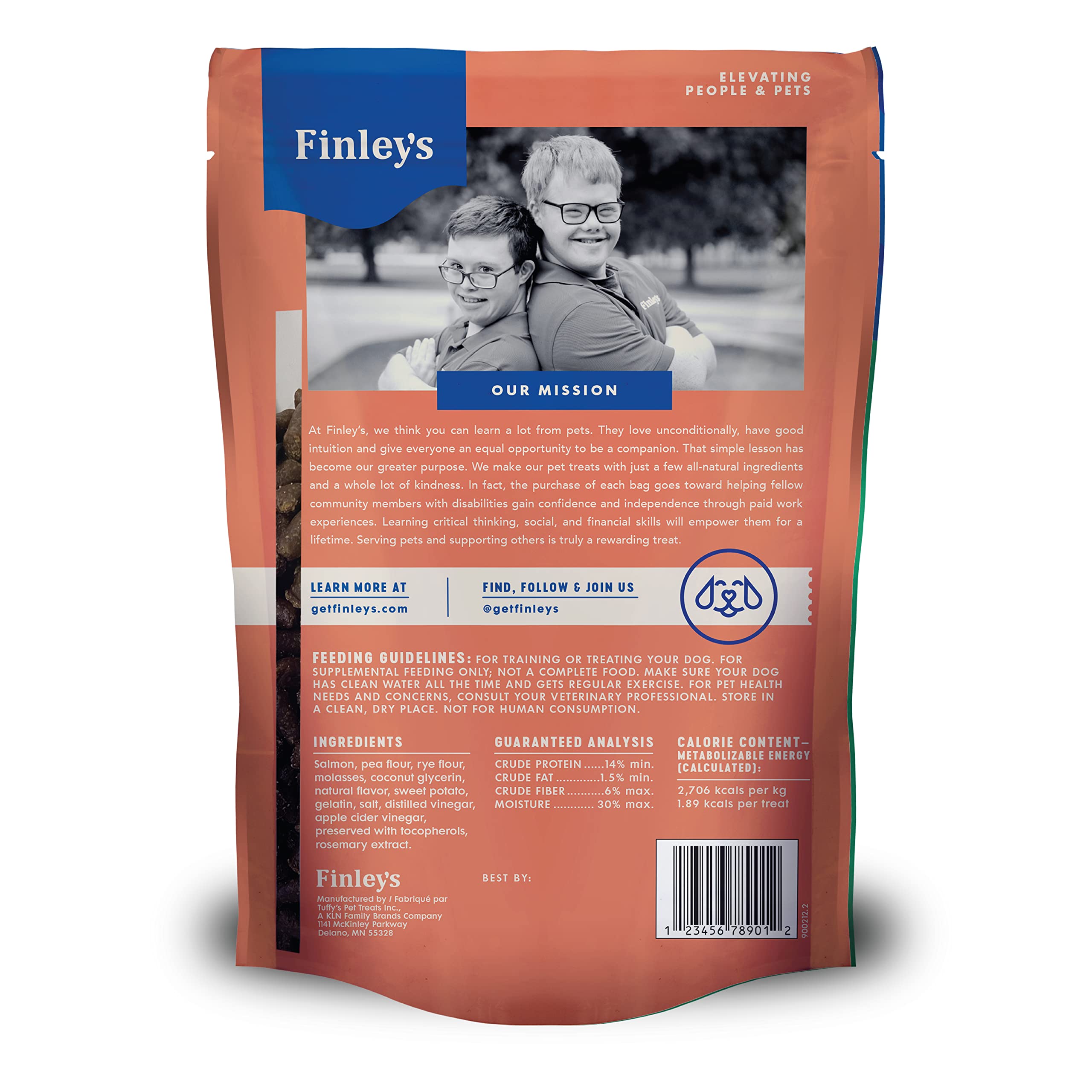 FNLY DOG TRNG BTS SALMON ( 6 X 16 OZ   )