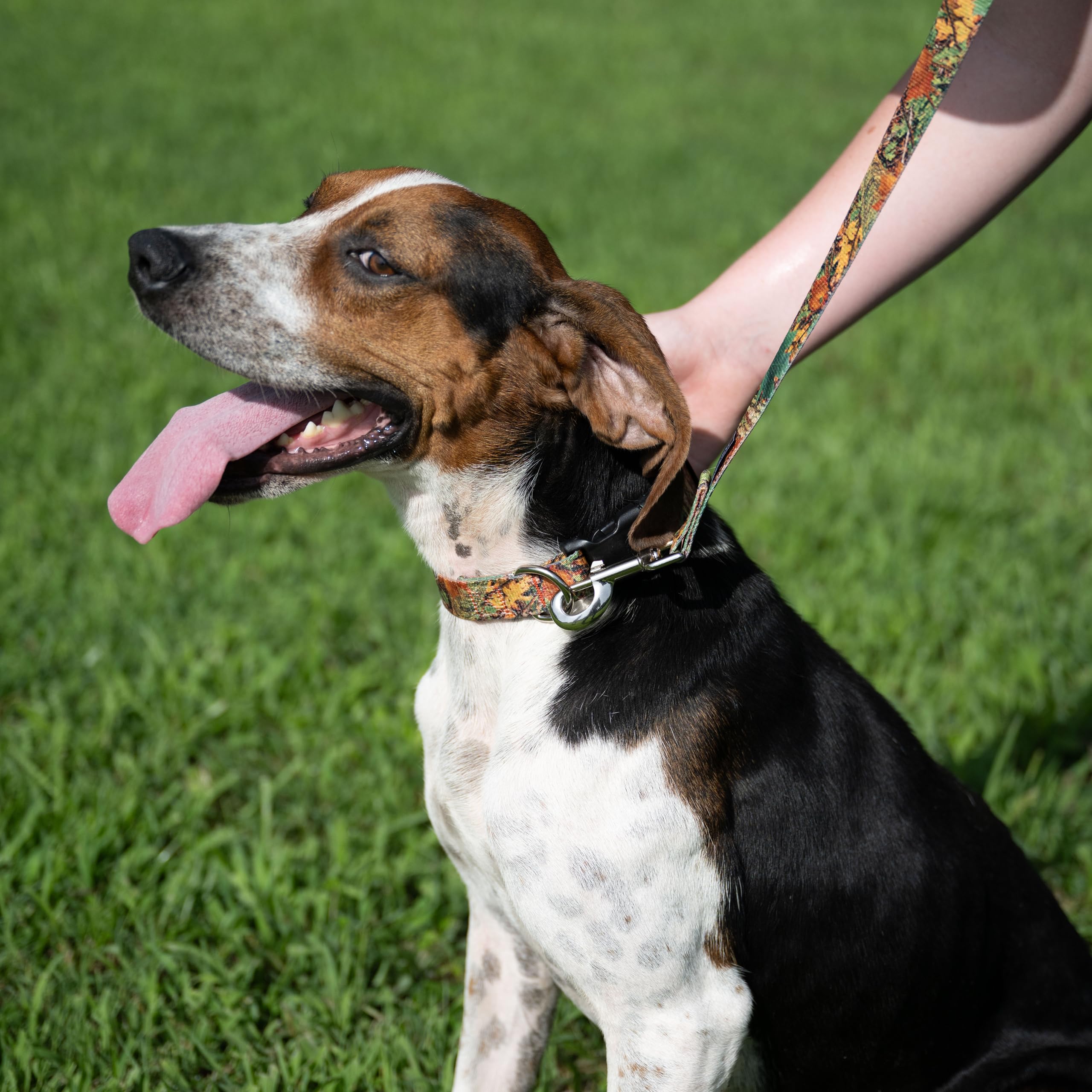 Country Brook Petz - Deluxe Southern Forest Camo Dog Collar - Camouflage Collection Featuring Rugged Designs (1/2 Inch, 2Xs)