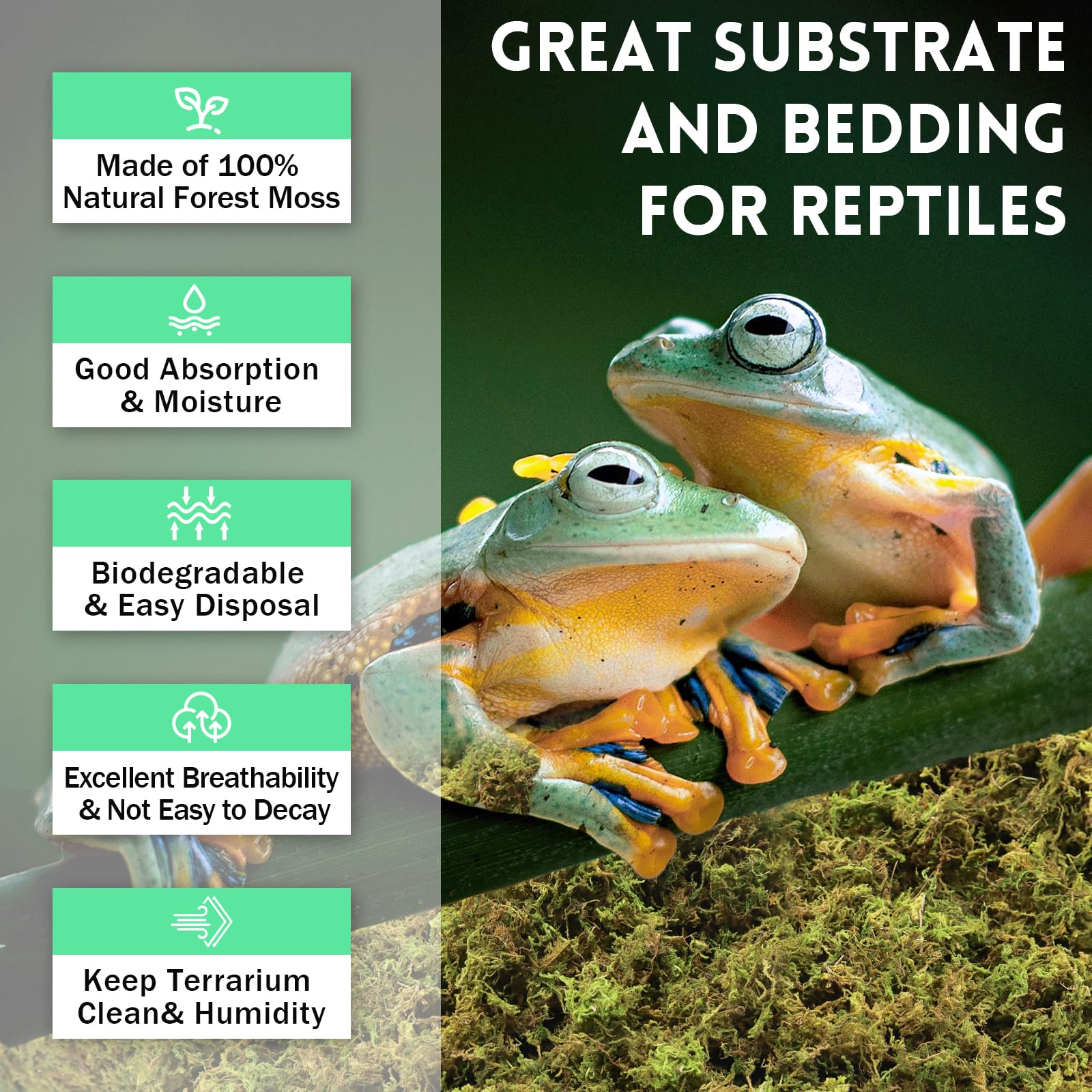 Riare 14 OZ Premium Sphagnum Moss for Reptiles- 20QT Natural Live Moss Reptile Moss Bedding for Terrarium, Hatching, Forest Spha