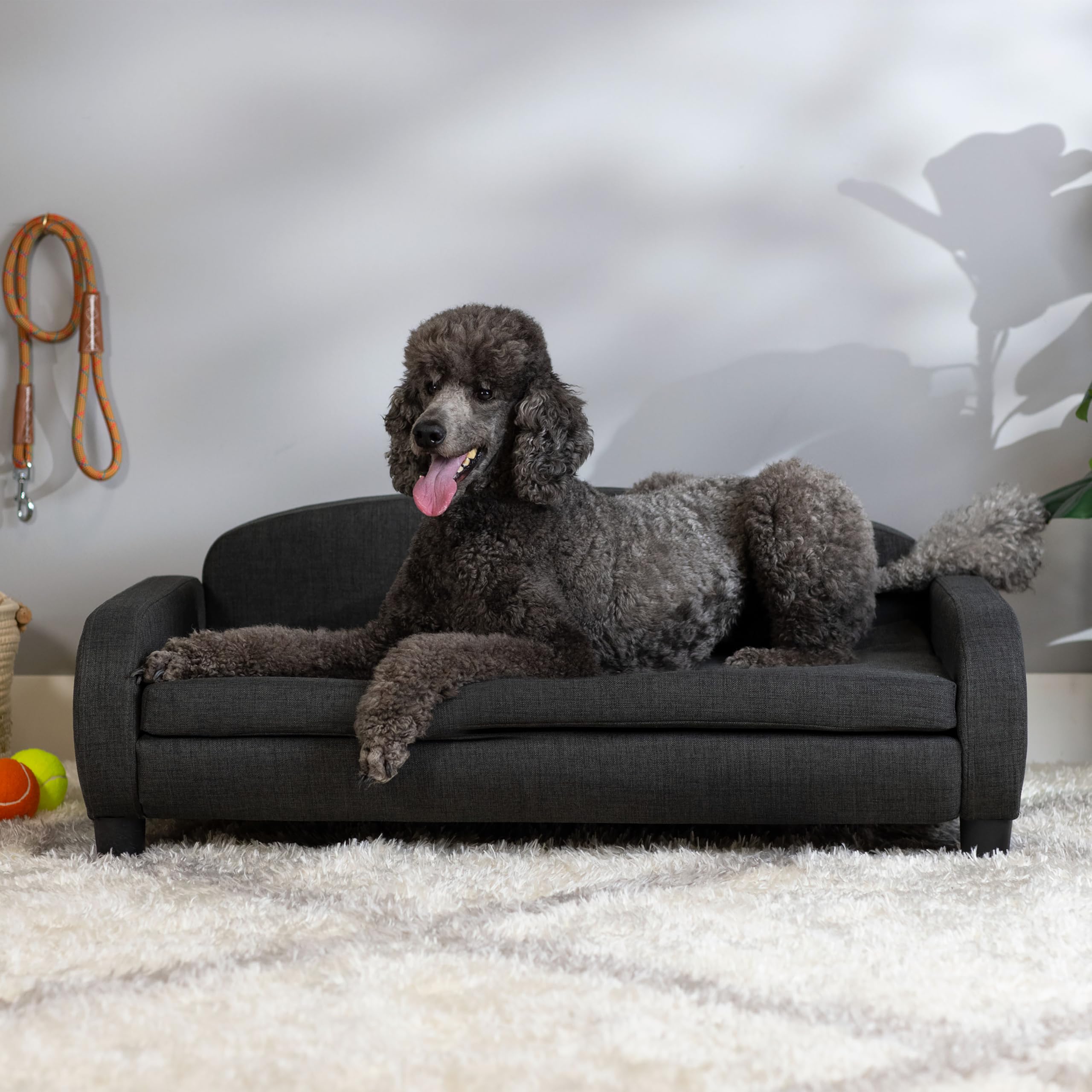Paws & Purrs Modern Pet Sofa 41.5 Wide for Large Dog with Removable/Washable Mattress Cover, Dark Gray