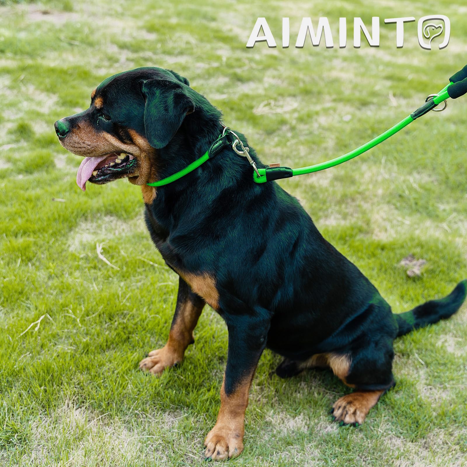 Aiminto Dog Leash, Braided Rope Traction - Walking Training Lead for Medium/Large Dogs ((1/2 '') x 6FT, Light Green)