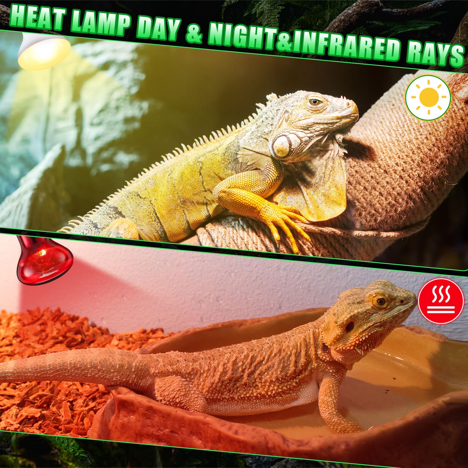 Kittmip 10 Pcs 75W Reptile Heat Lamp Bulb Day And Night Basking Spot Bulb Set Uva Daylight Bulb Amphibian Night Red Infrared Hea