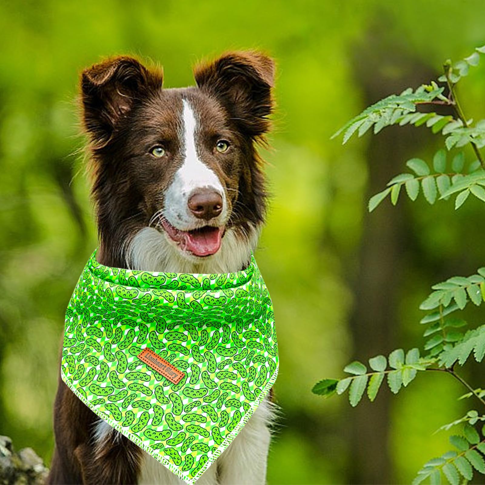 Lionheart Glory Green Cucumber Dog Bandana - Soft Washable Square Adjustable Dog & Cat Scarf, 1 Pack