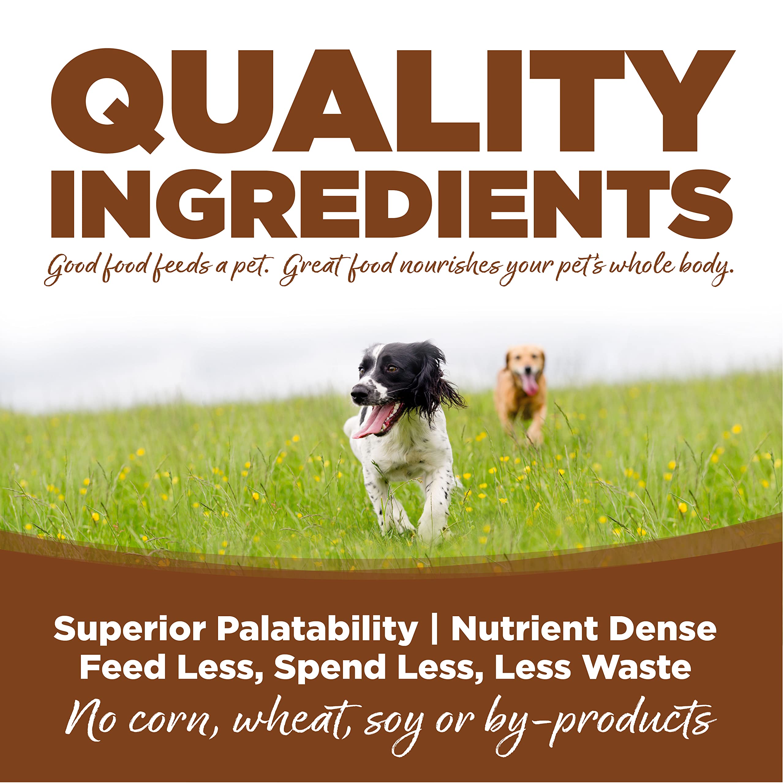 NutriSource Adult Dog Food, Made with Lamb Meal and Rice, Large Breed, with Wholesome Grains, 30LB, Dry Dog Food