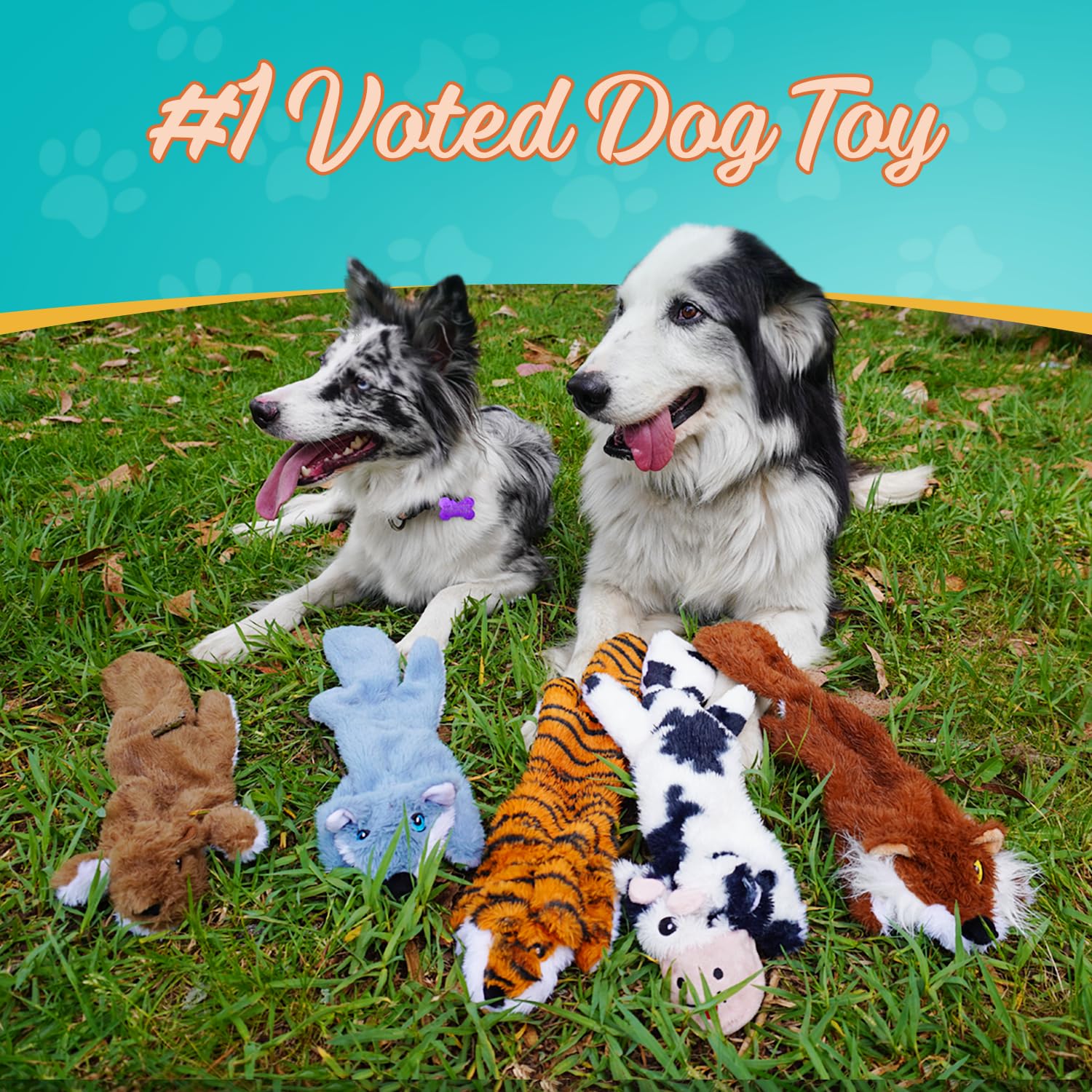 Chesk No Stuffing Dog Toys For Aggressive Chewers - 5-Pack Ultra Soft And Durable Squeaky Dog Toys Crinkle Dog Toy For All Breed