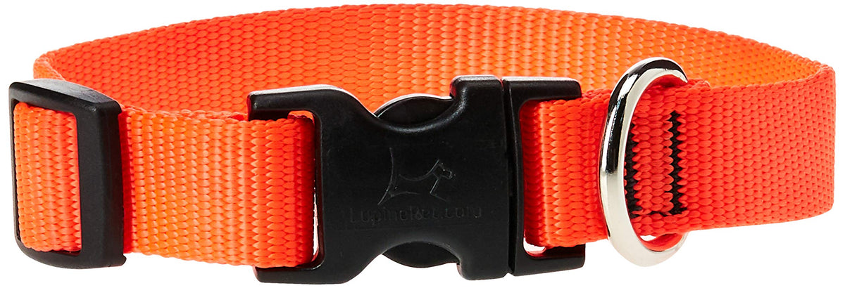 Lupinepet Basics 3/4' Blaze Orange 9-14' Adjustable Collar For Small Dogs