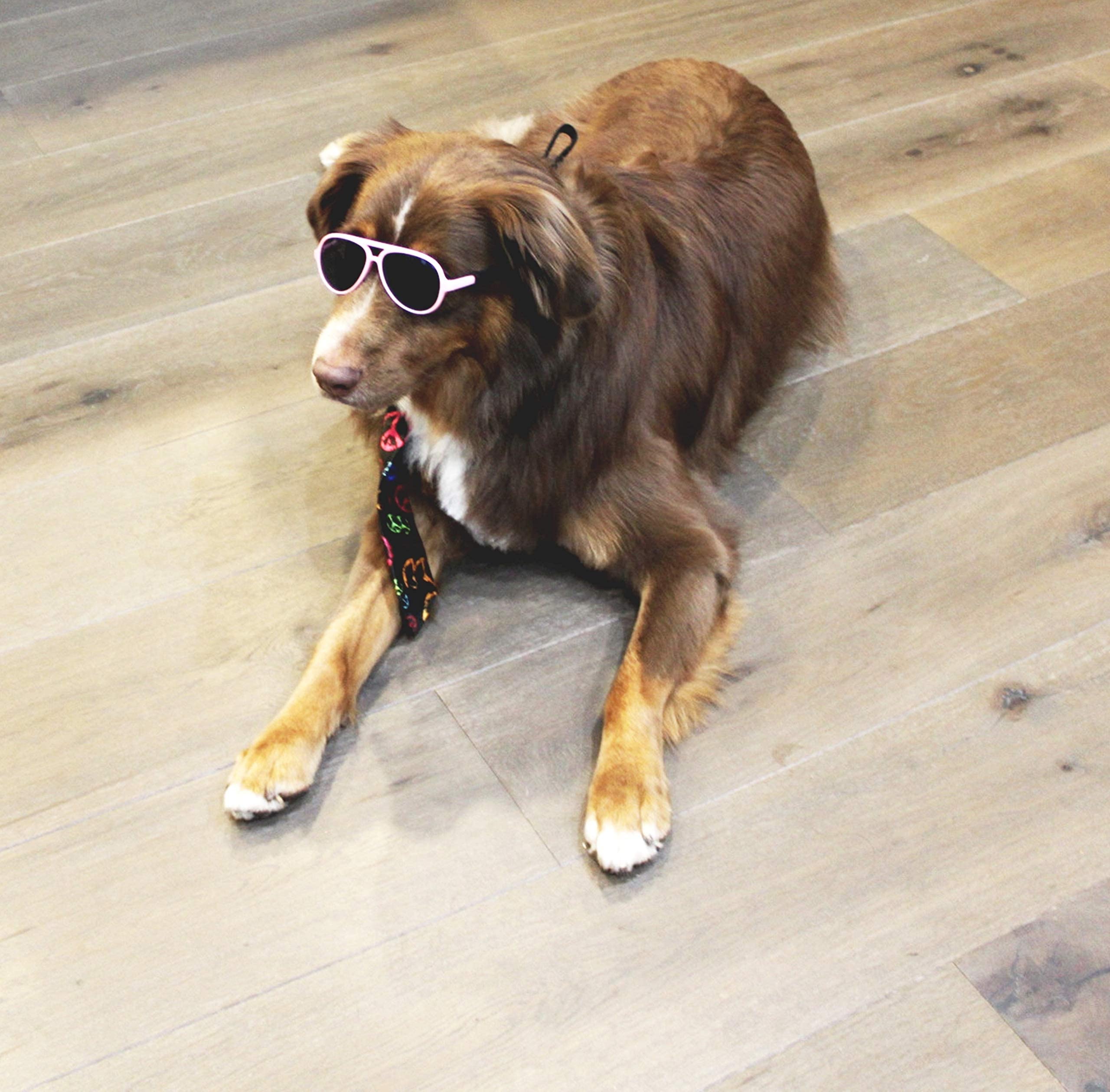 G010 Dog Pet Costume Aviator Sunglasses For Medium Breeds 20-40 Lbs (Pink)