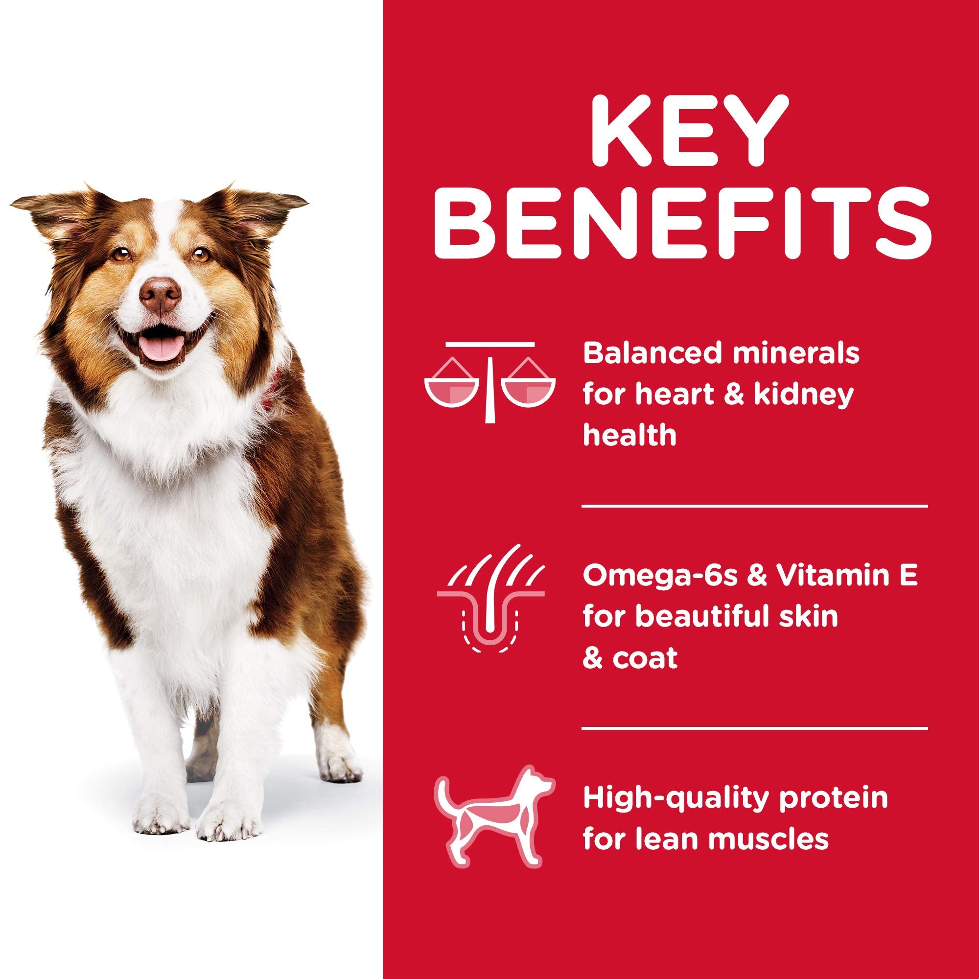 Hills Science Diet Adult 7+, Senior Adult 7+ Premium Nutrition, Dry Dog Food, Chicken, Brown Rice, & Barley, 5 lb Bag