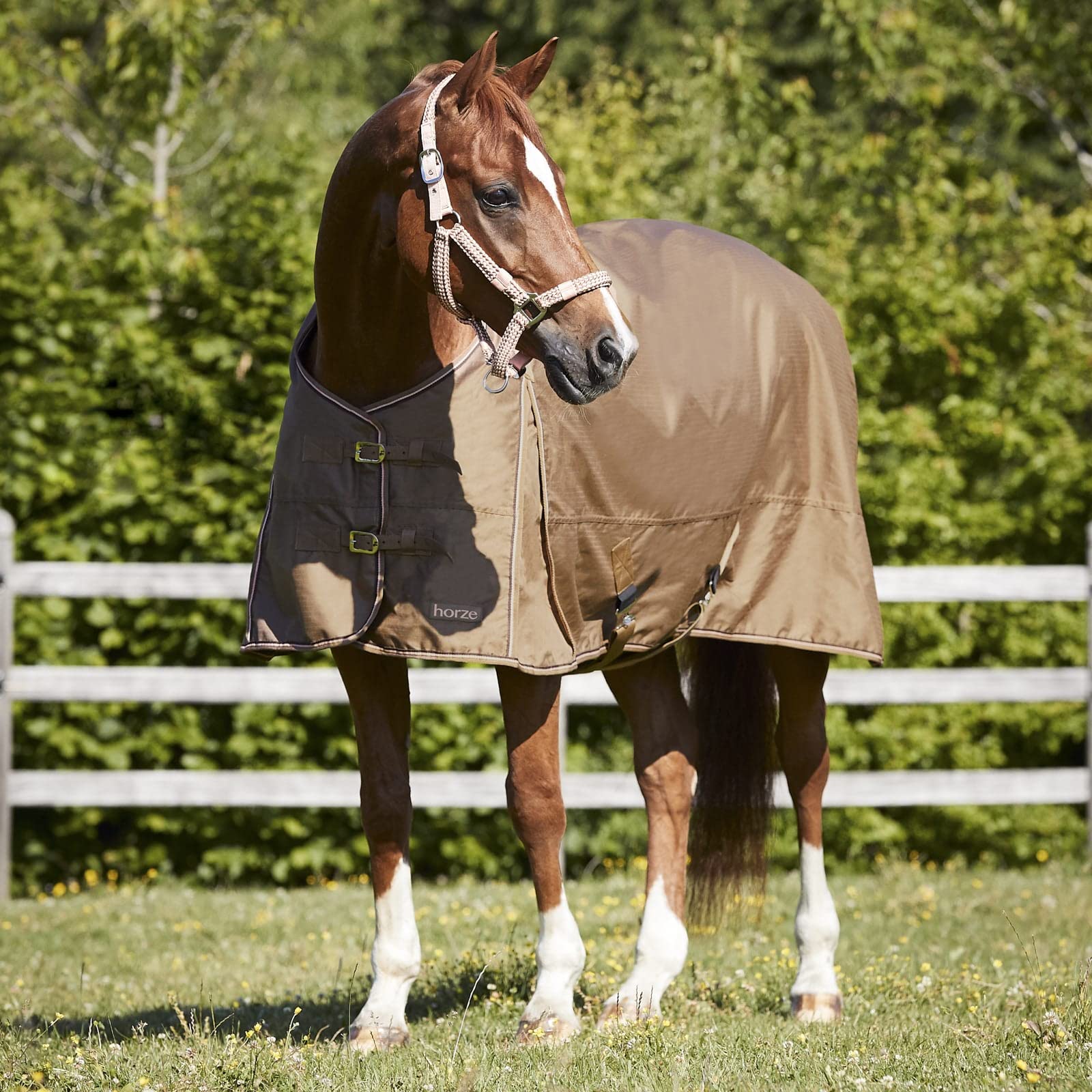 Horze Glasgow Heavy Weight Waterproof Winter Turnout Horse Blanket (350G Fill) - Cocoa Mocha - 72 In