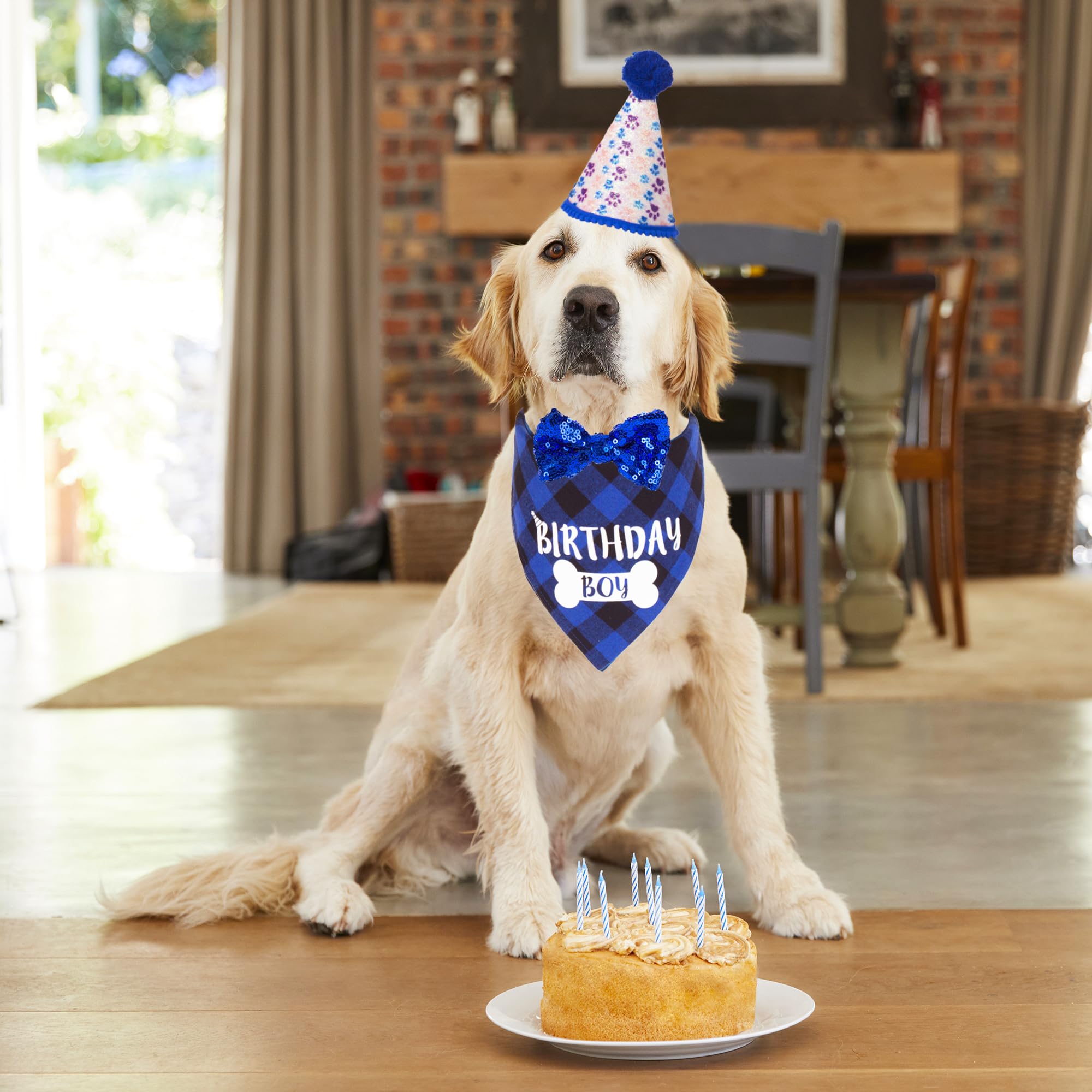 Adoggygo Dog Birthday Party Supplies, Pet Party Hat With Numbers, Bow, Blue Plaid Birthday Boy Bandana For Extra Large Dogs (X-L