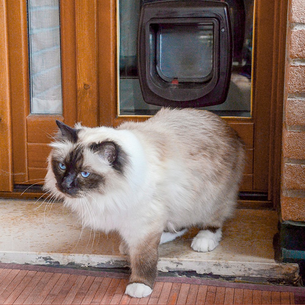 Ferplast Cat Door with Microchip Swing Microchip, One Size/8.86 x 6.38 x h 9.92, Brown