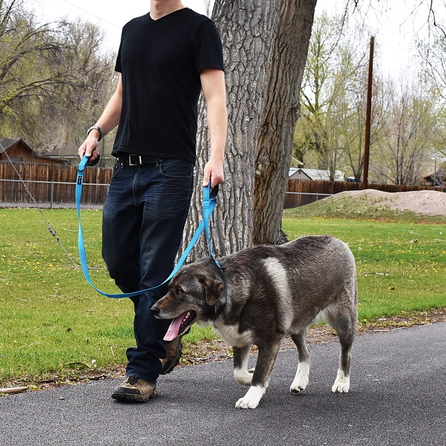 Wagtime Club Soft &Thick Dual Handle 6Ft Dog Leash, Premium Nylon Double Padded Handles For Medium, Large Or Xlarge Dog (Reflective Bright Blue)