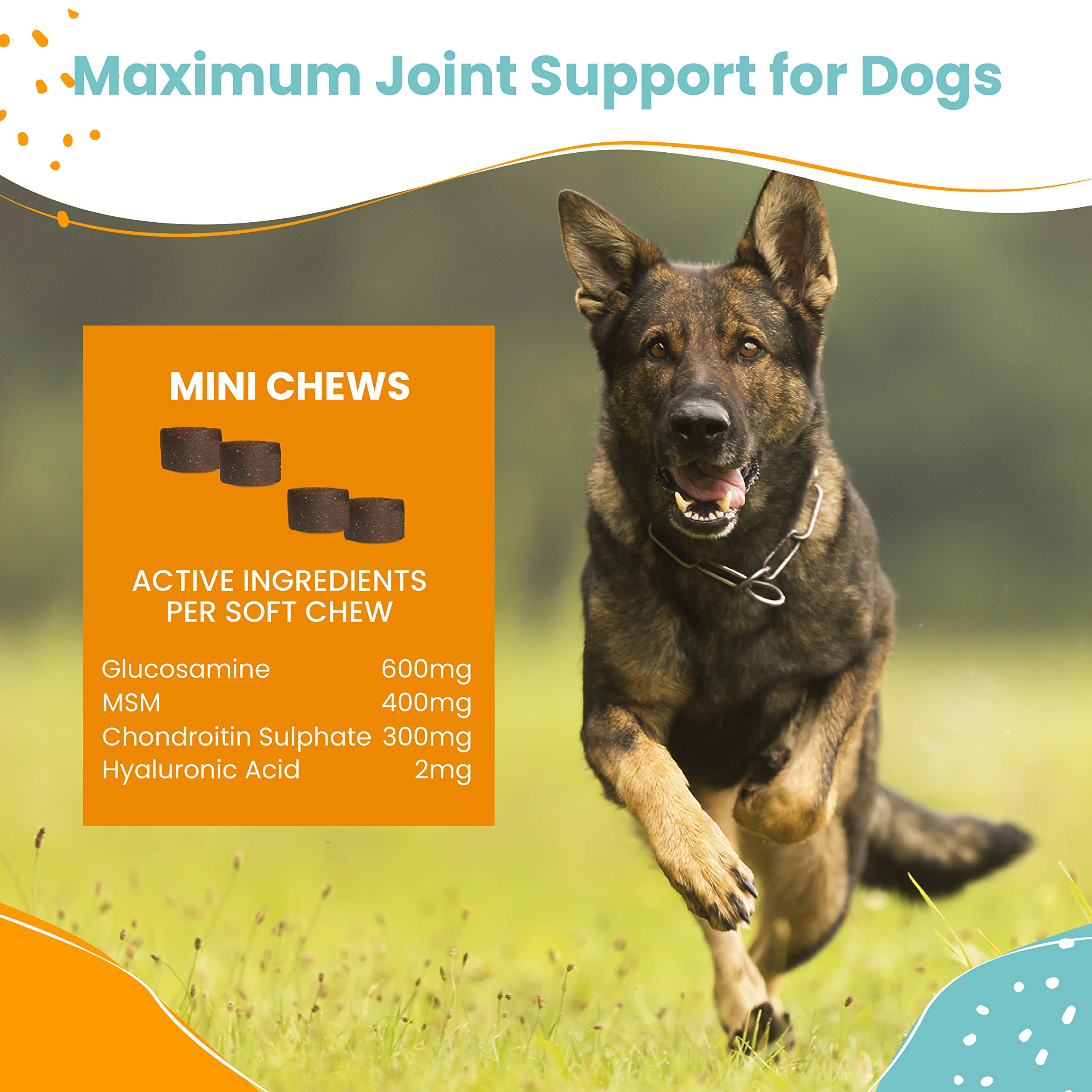 Nootie Glucosamine for Dogs - 250 ct - Hip and Joint Soft Chews Supplement for Dogs - Daily Dog MSM Chondroitin Chews with Turme