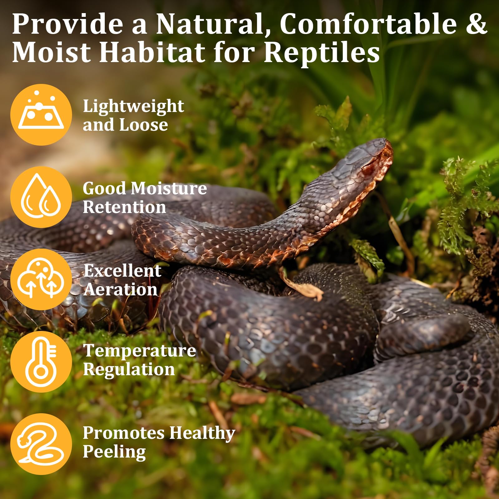 Legigo 1.3Lb Sphagnum Moss For Reptile- 24 Qt Natural Reptile Moss Terrarium Moss Substrate, Snake Tank Moss Peat Moss Reptile B