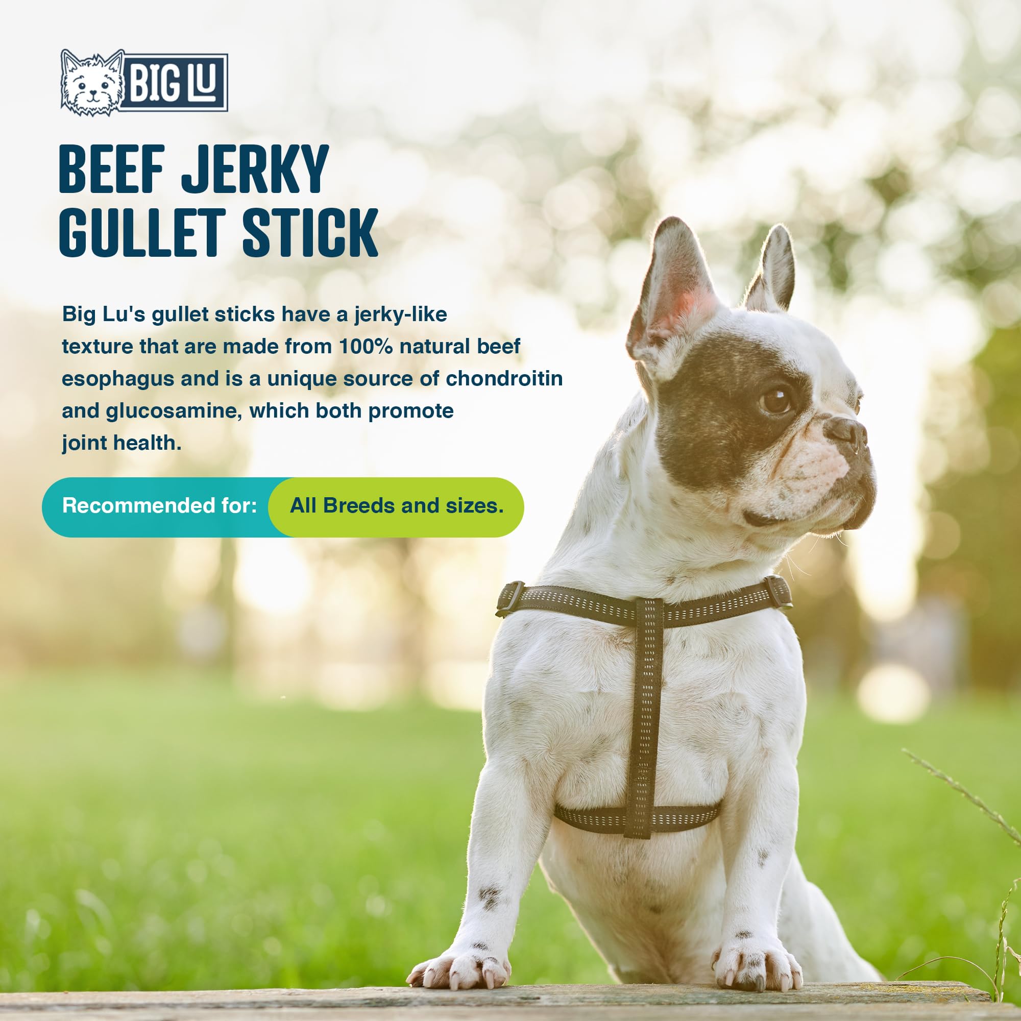 Big Lu - 6-Inch Jerky Gullet Sticks, 12 Count, All-Natural Beef Dog Chews, Grass-Fed, Free-Range, Digestible Treats with Glucosa