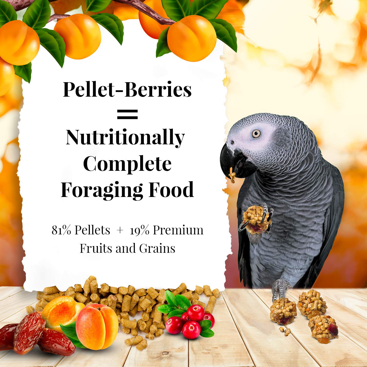 LAFEBERS Pellet-Berries Pet Bird Food, Made with Non-GMO and Human-Grade Ingredients, for Parrots, 2.75 lb
