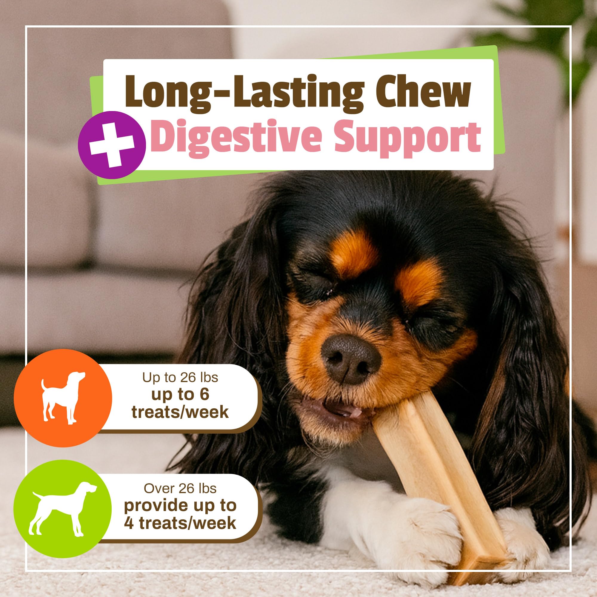 Pet Naturals BusyButter Balanced Belly Peanut Butter Bones, Rawhide-Free Chews for Small Dogs, Long Lasting Chew Bones, Probioti