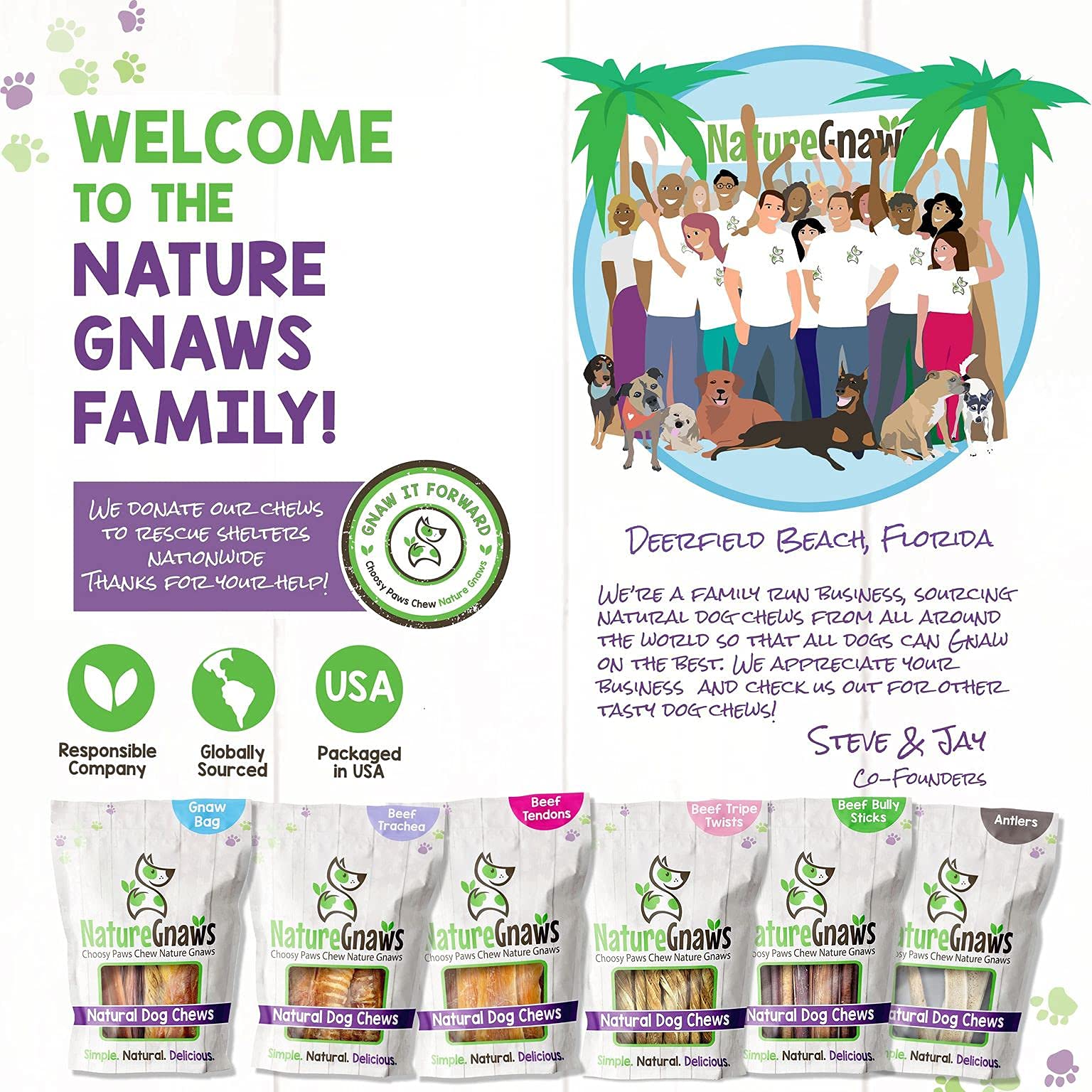 Nature Gnaws - Beef Jerky Springs for Dogs - Premium Natural Beef Gullet Sticks - Simple Single Ingredient Tasty Dog Chew Treats