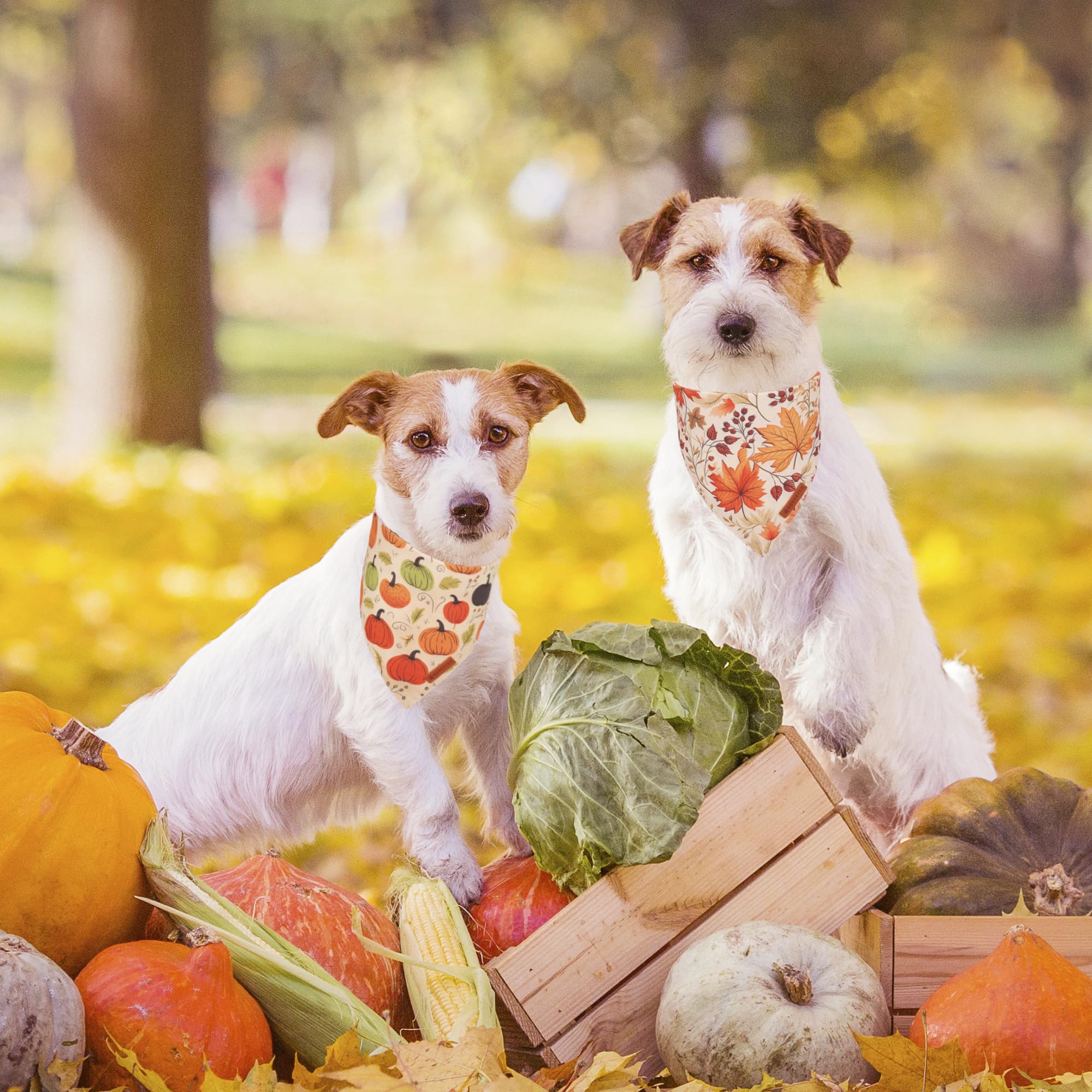ADOGGYGO Fall Dog Bandana, Pumpkin Maple Leaf Autumn Thanksgiving Pet Scarf, Adjustable Fit Fall Bandanas for Small Dogs Pets (S