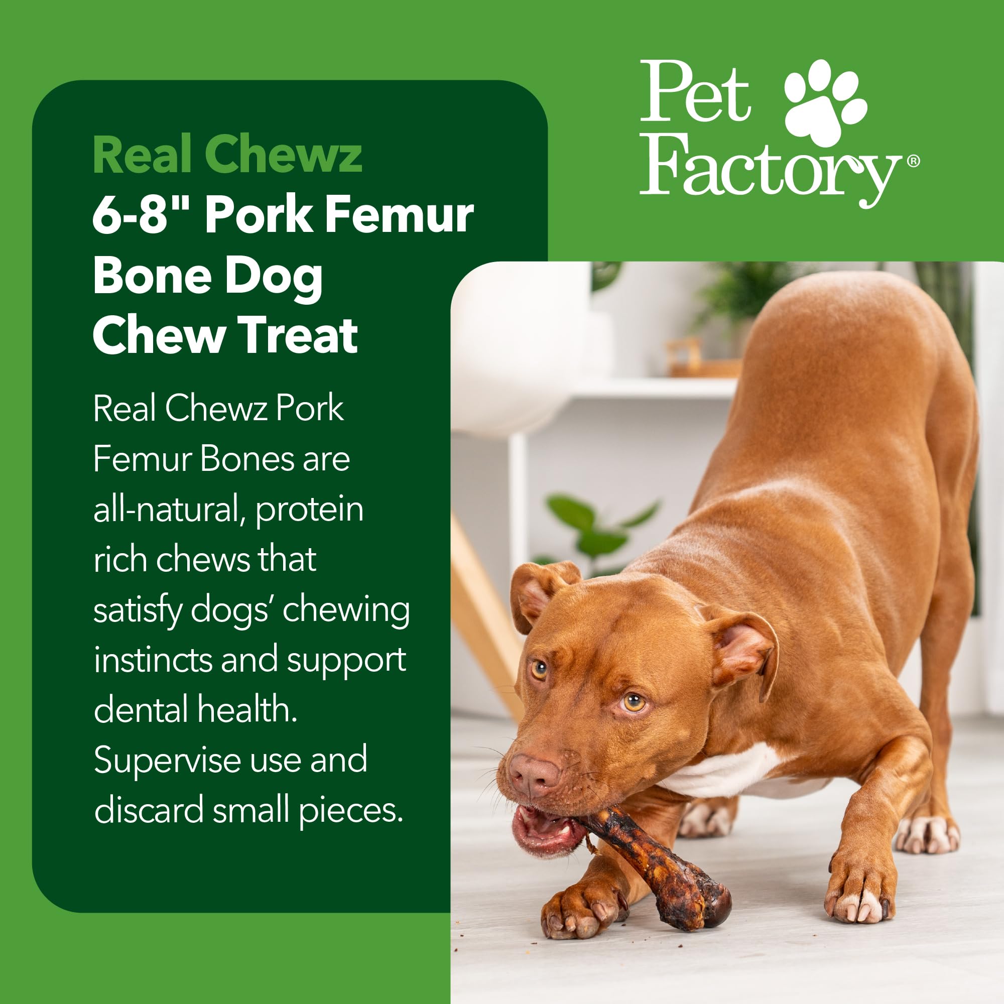 Pet Factory Real Chewz 6-8 Pork Femur Bone Dog Chew Treat, 100% All-Natural - 1 Count/1 Pack