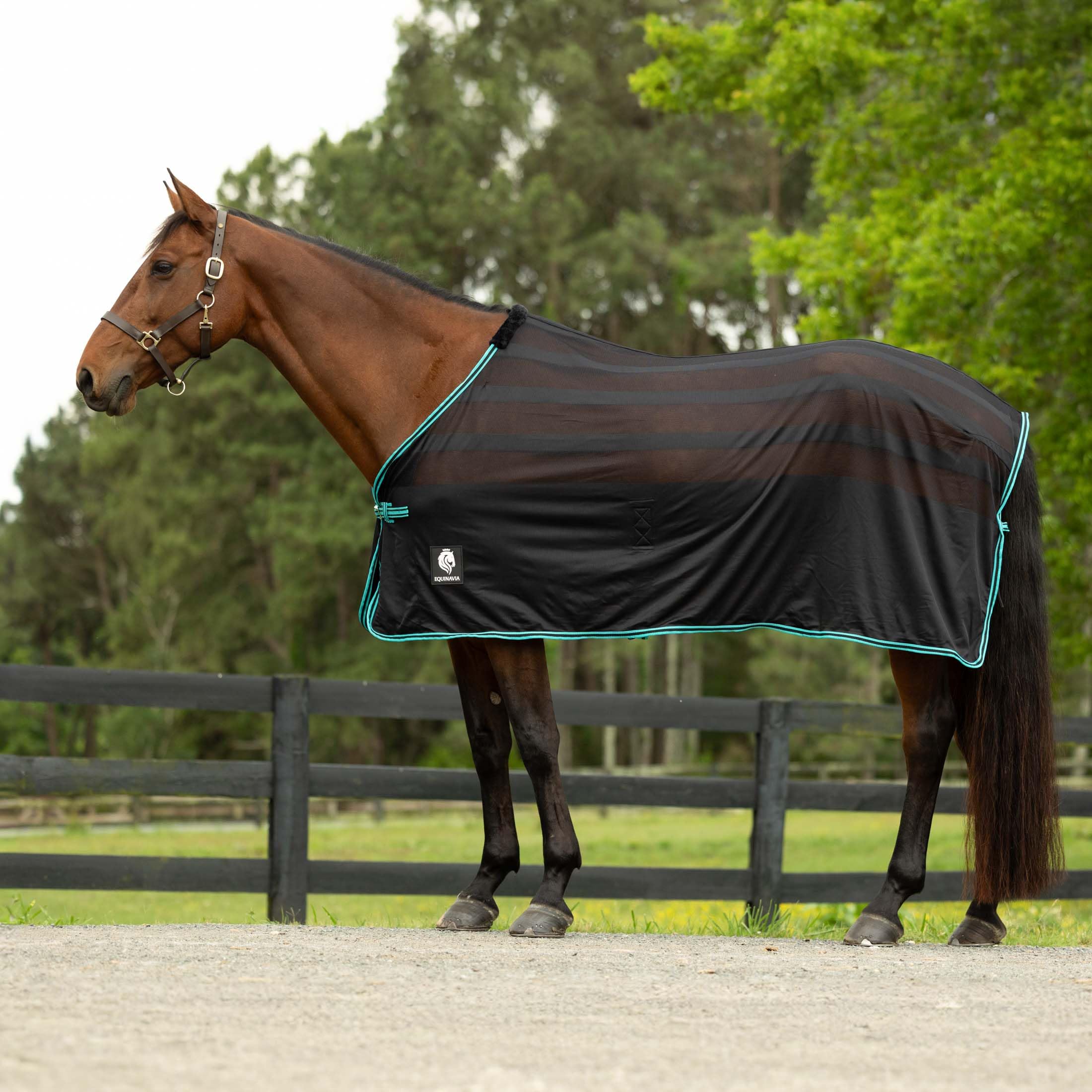 Equinavia Sefyr Breathable Lightweight Cooling Scrim Sheet - Black/Turquoise - S
