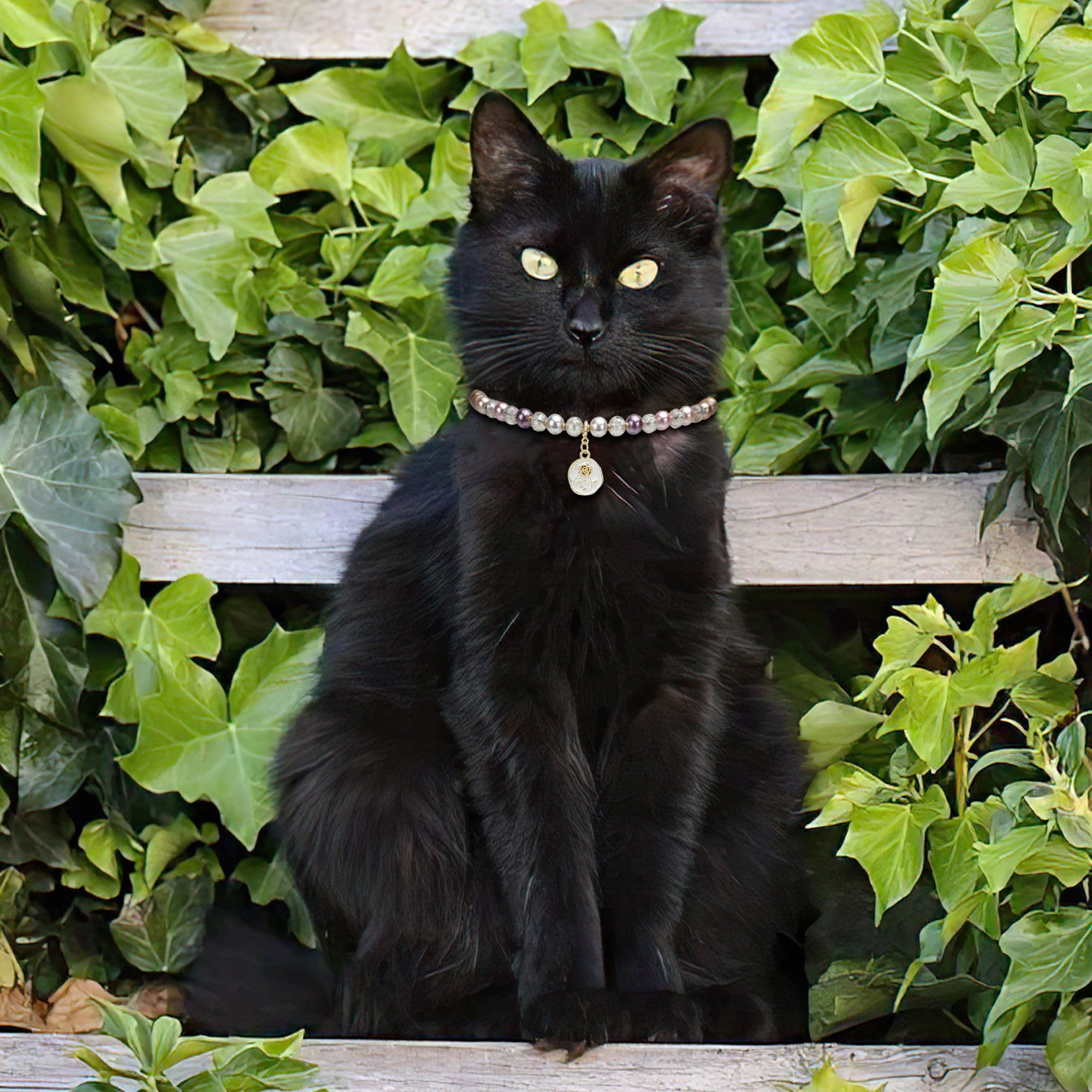Funbegin Cat Dog Necklace Collar With Pearls Rhinestones Elegant Bling Diamond Stylish Accessories For Pet Puppies Small