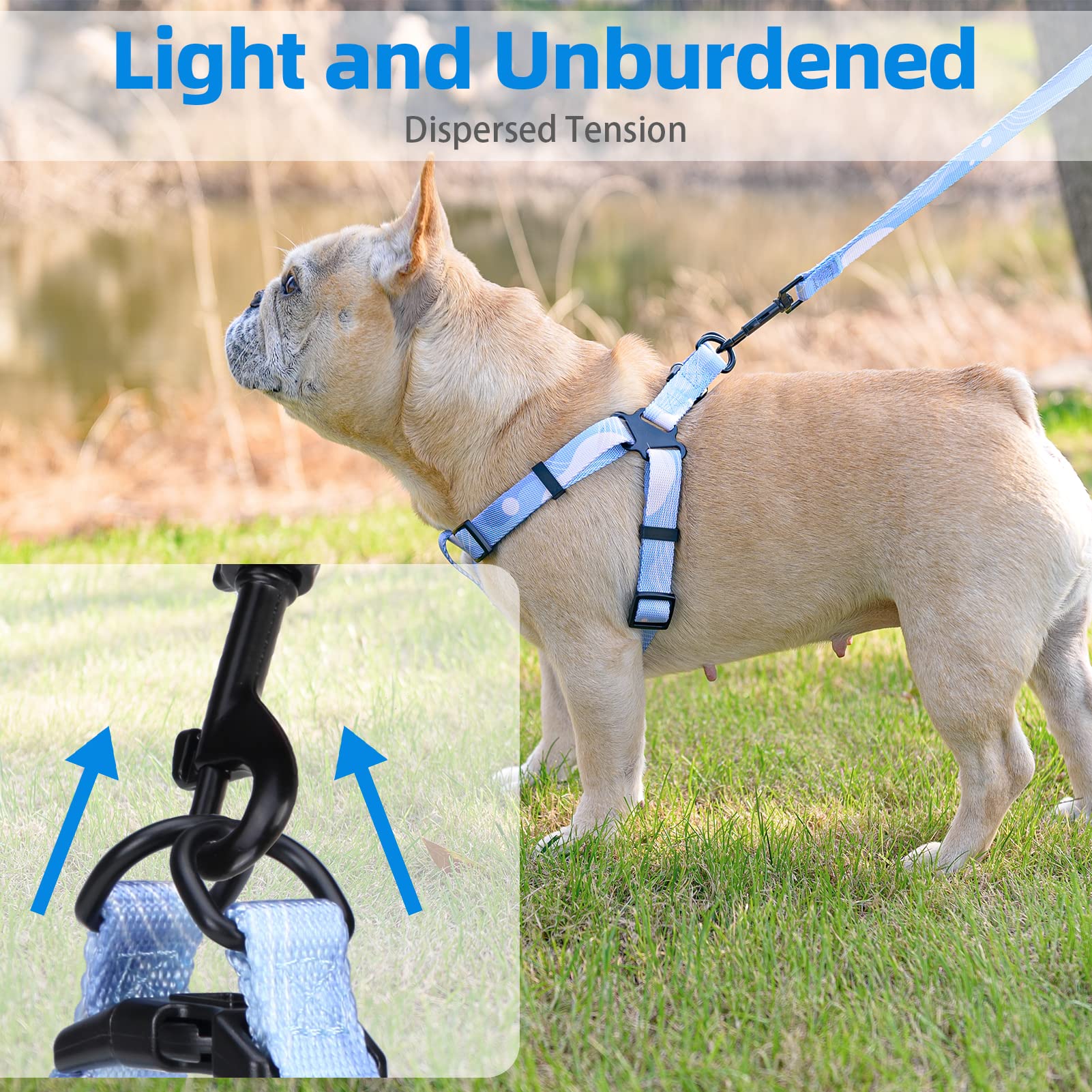 Pupteck Dog Harness And Leash Set No Pull Step In Soft Adjustable Pet Harnesses For Small Medium Dogs Outdoor Walking Training, Blue S