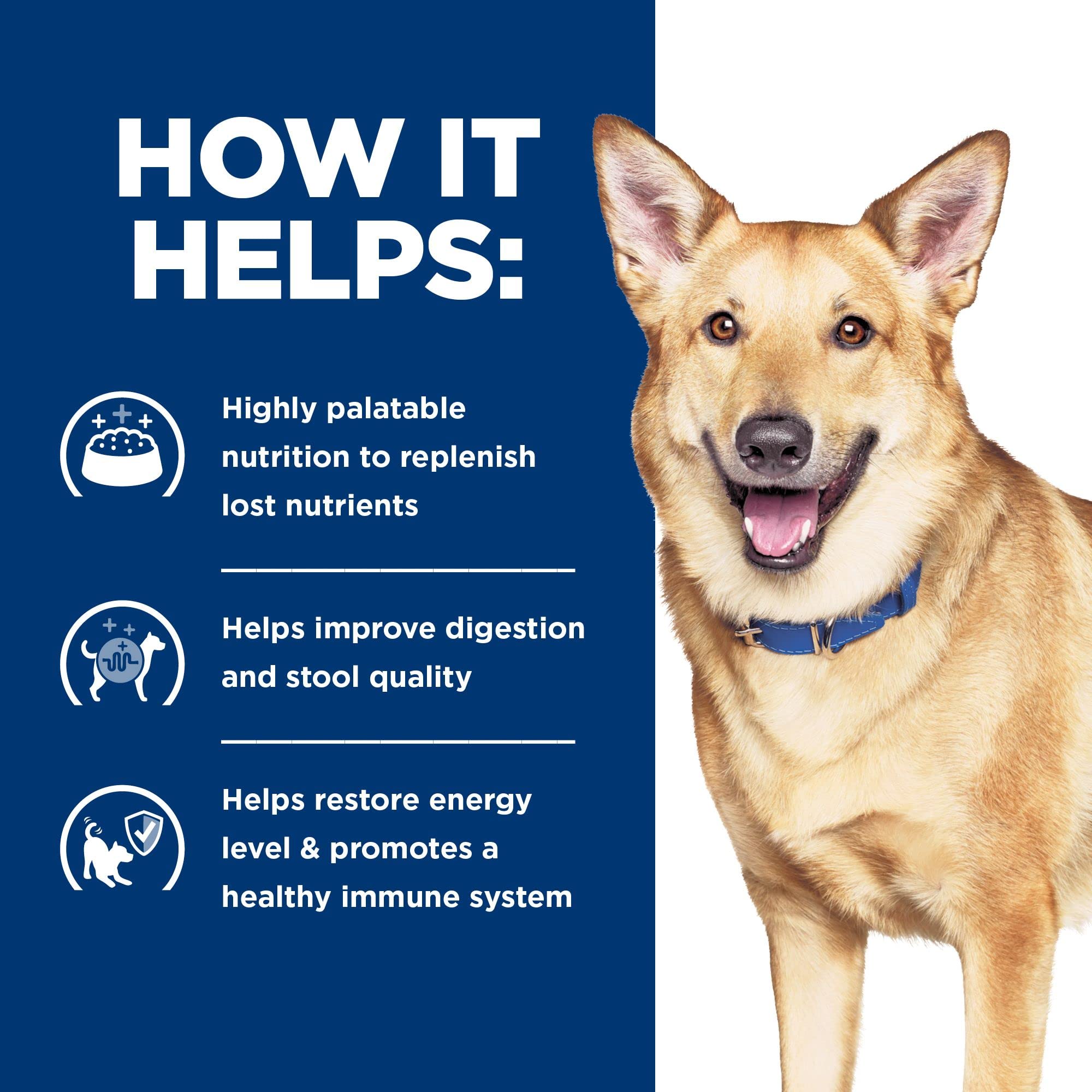 Hills Prescription Diet i/d Digestive Care Chicken & Vegetable Stew Canned Dog Food, Veterinary Diet, 5.5 oz., 24-Pack Wet Food