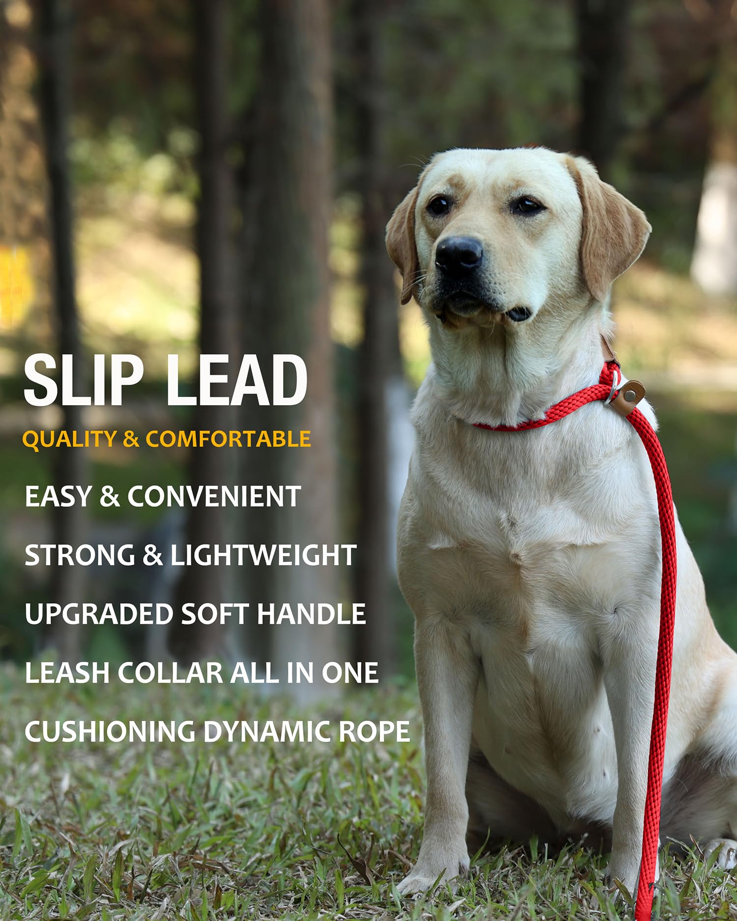 Lynxking 5 Ft Dog Leash Slip Lead 2 Pack Strong Heavy Duty Braided Dog Training Leash No Pull Training Lead Leashes For Medium L