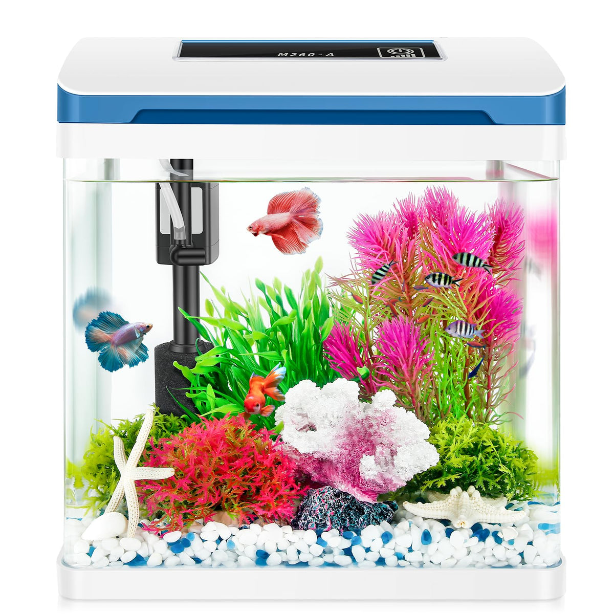 Small Fish Tank 2 Gallon Glass Aquarium Starter Kits, Desktop Betta Fish Tank Beta Fish Aquariums With Filter And Light For Bett