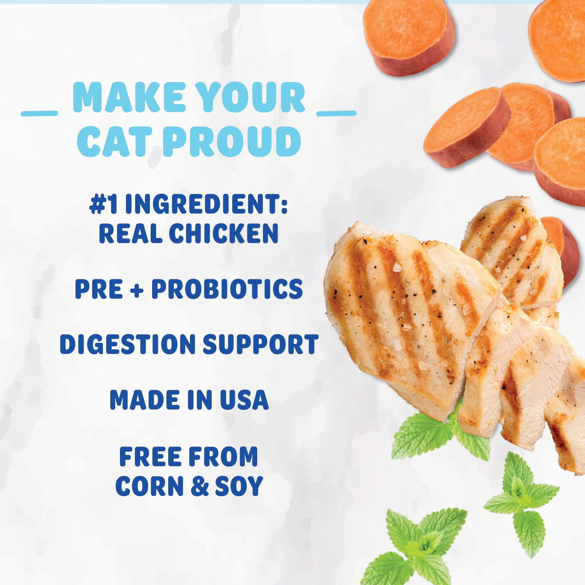 Shameless Pets Crunchy Cat Treats -?Catnip Treats for Cats with Digestive Support, Natural Ingredients Kitten Treats with Real C