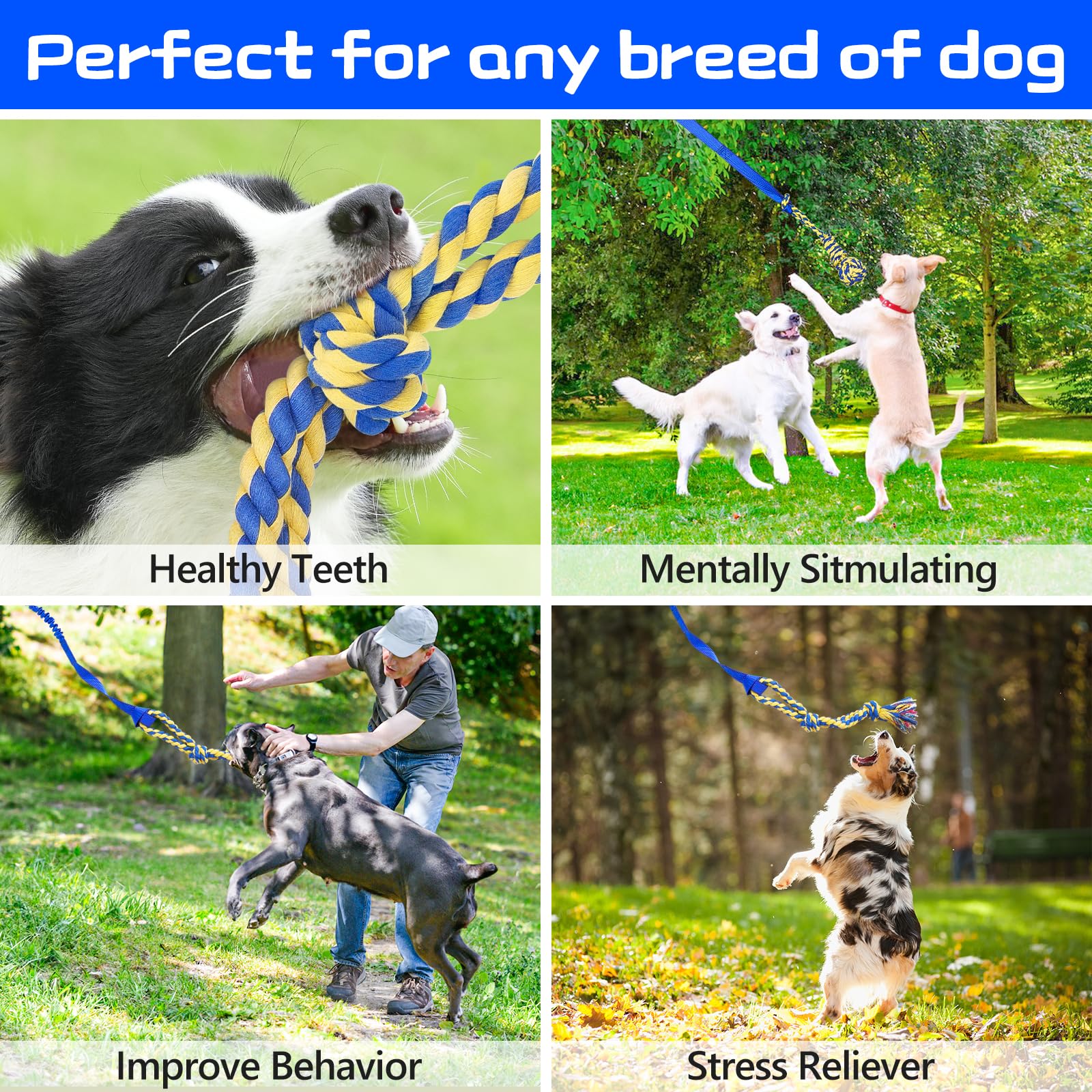 XiaZ Tug of War Dog Toy, Interactive Dogs Toy Bungee Hanging Tether with 2 Chew Rope Toys, Heavy Duty Puppy Outdoor Activity Agg