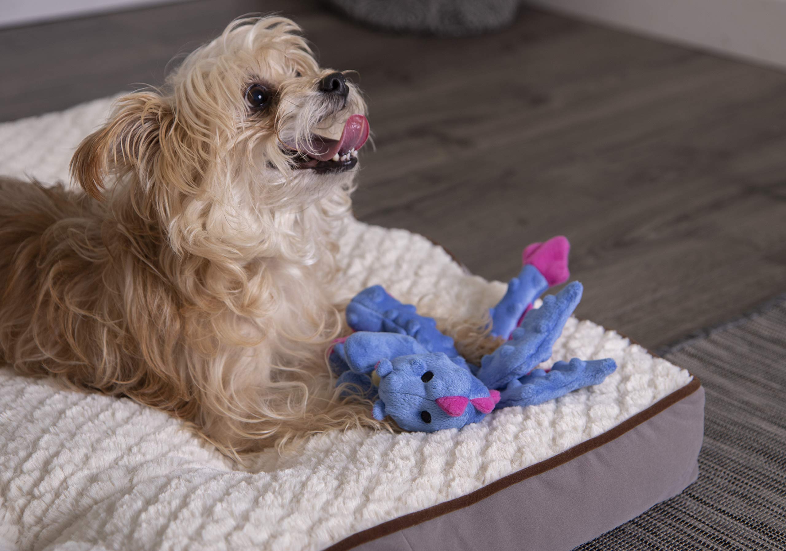 Godog Bubble Plush Dragons Squeaky Dog Toy, Chew Guard Technology - Periwinkle, Small